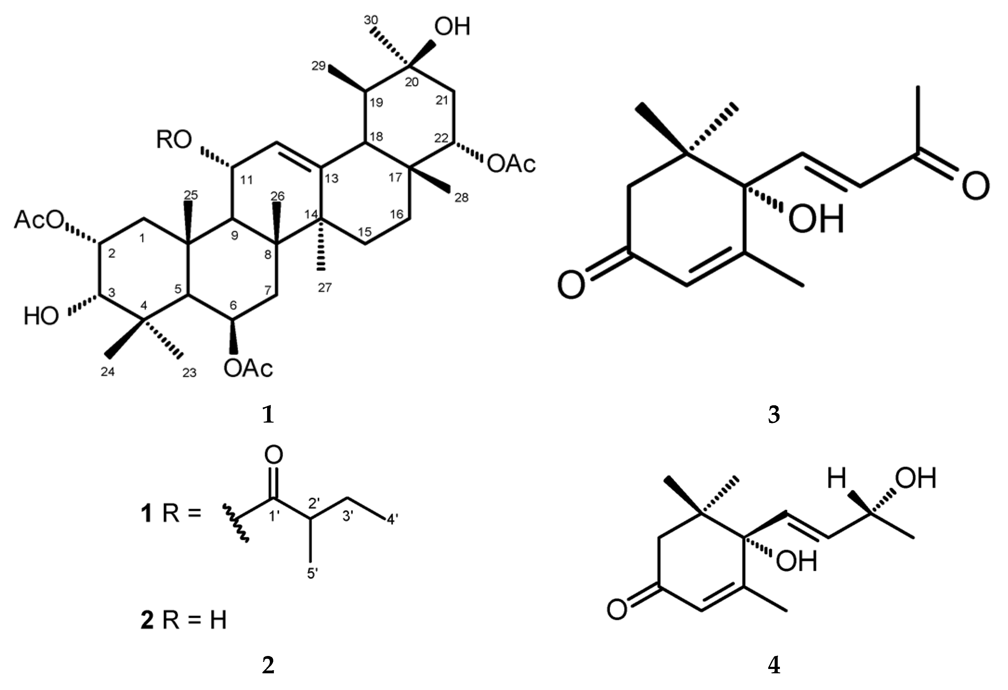 Molecules 26 07013 g001