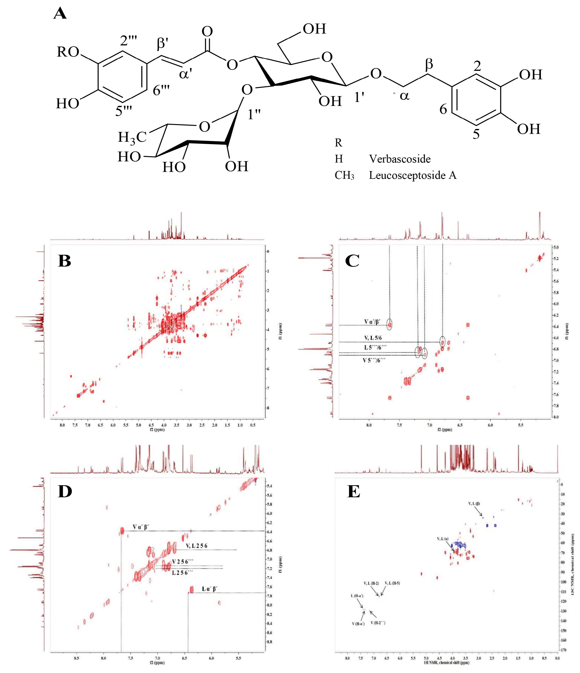 Molecules 26 07014 g001
