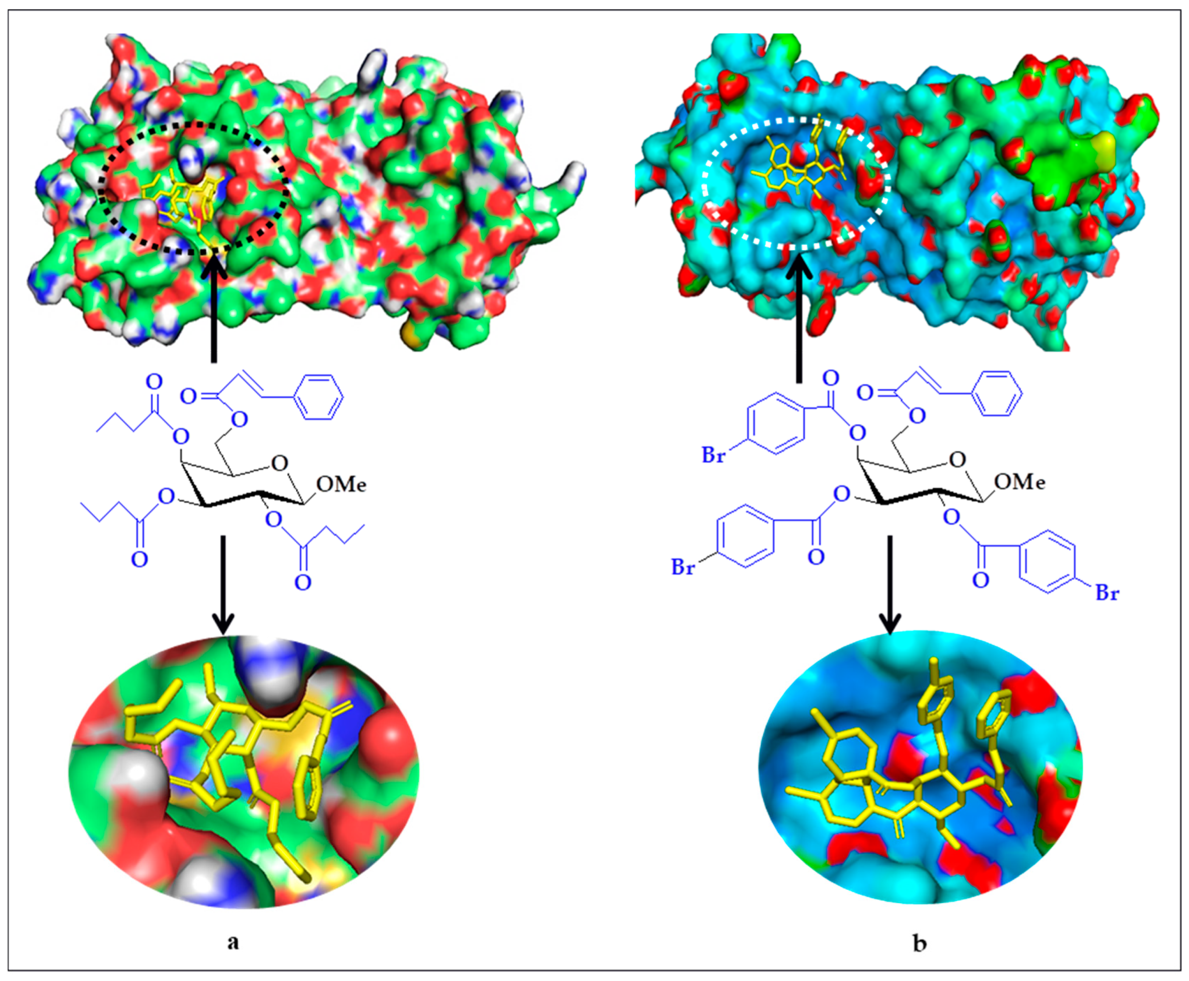 Molecules 26 07016 g005 Molecules 26 07016 g005