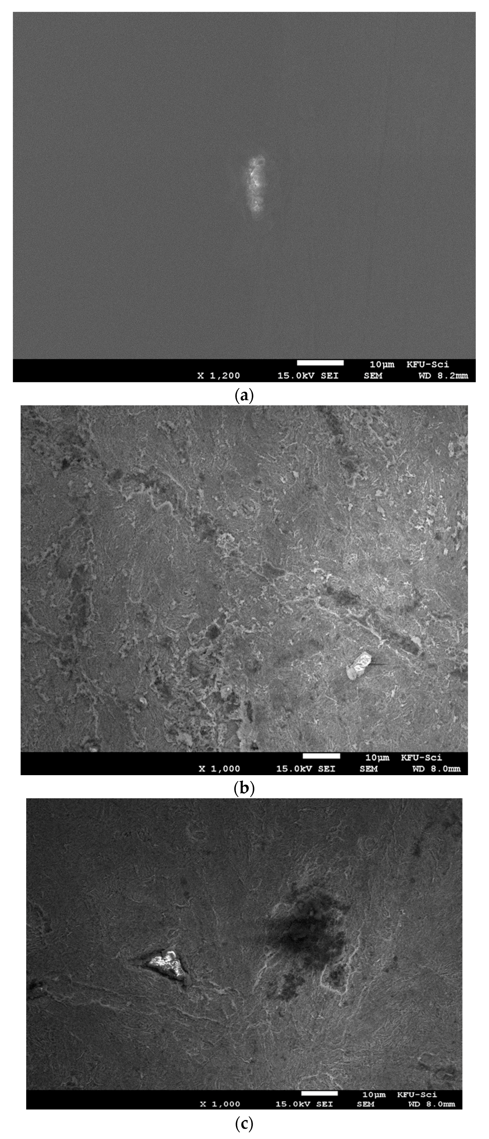 Molecules 26 07024 g011