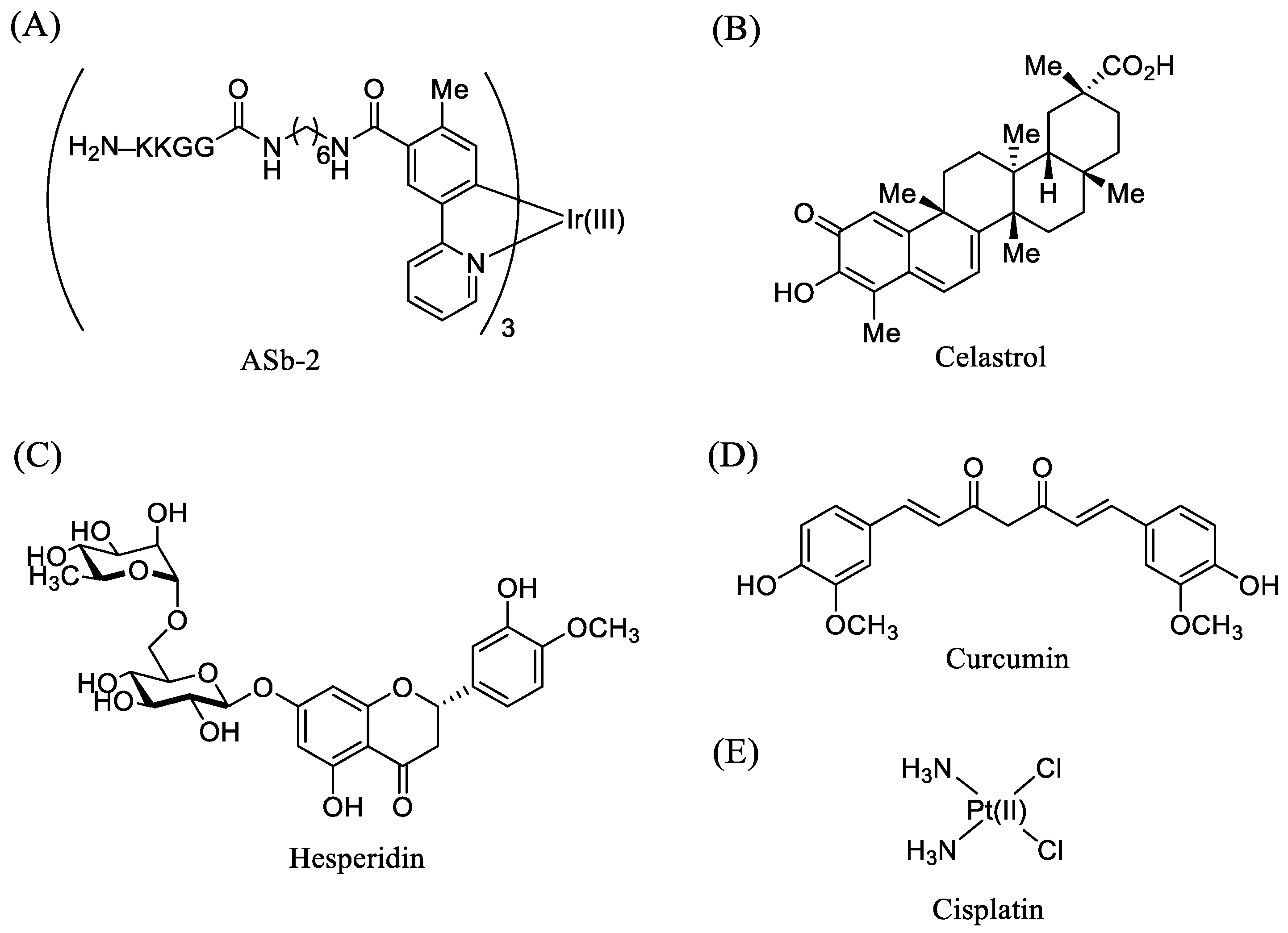 Molecules 26 07028 g001