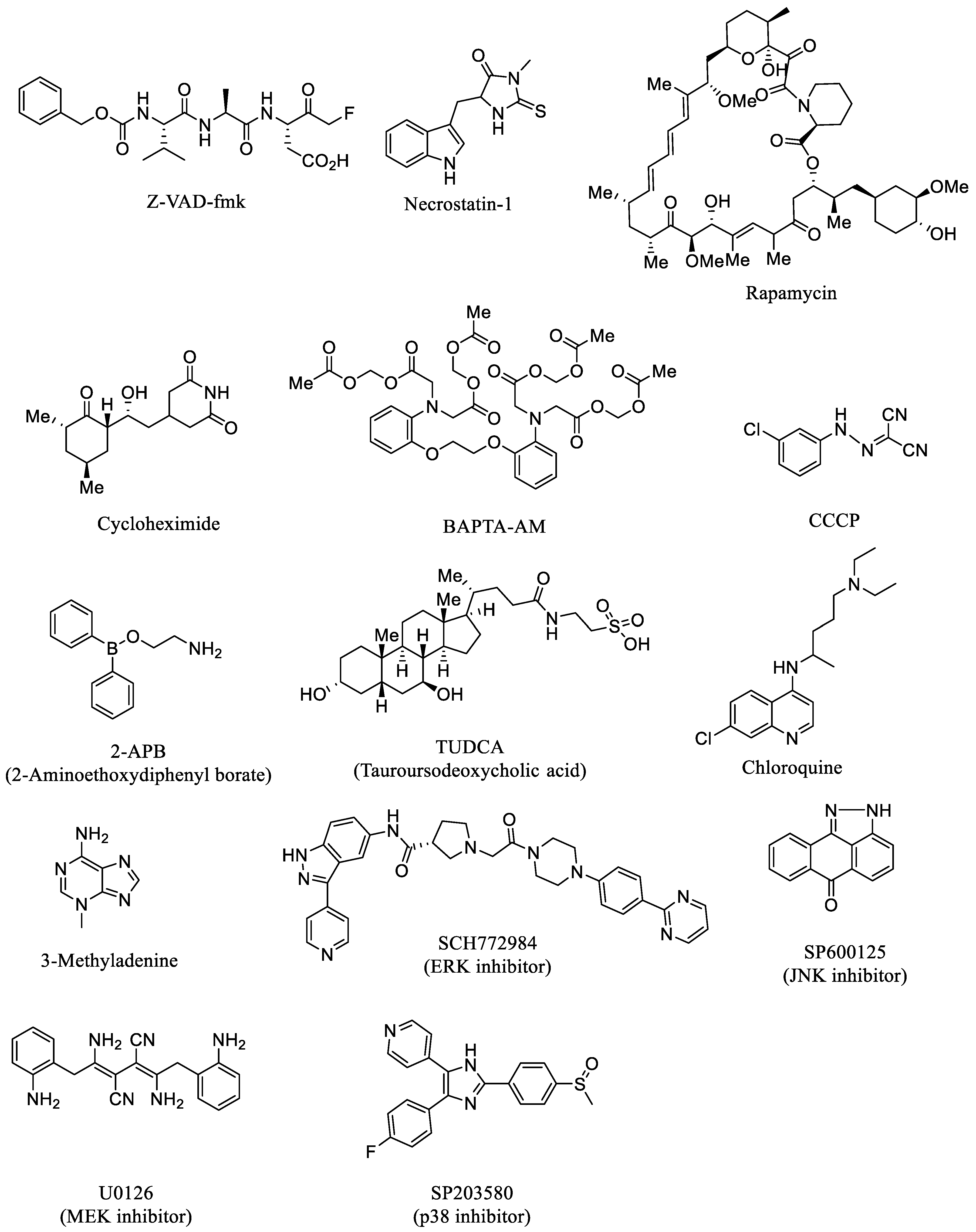 Molecules 26 07028 g003