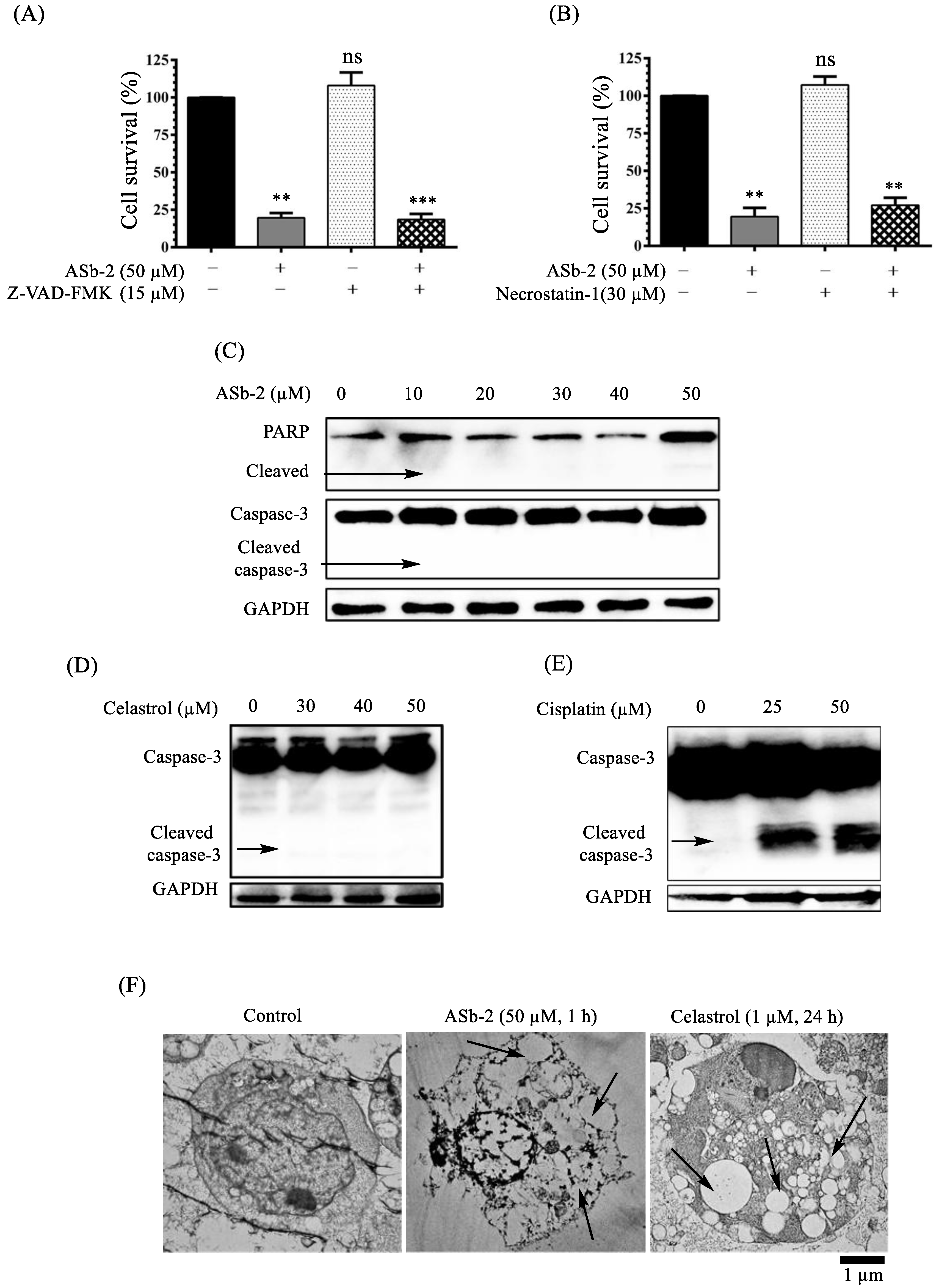 Molecules 26 07028 g004