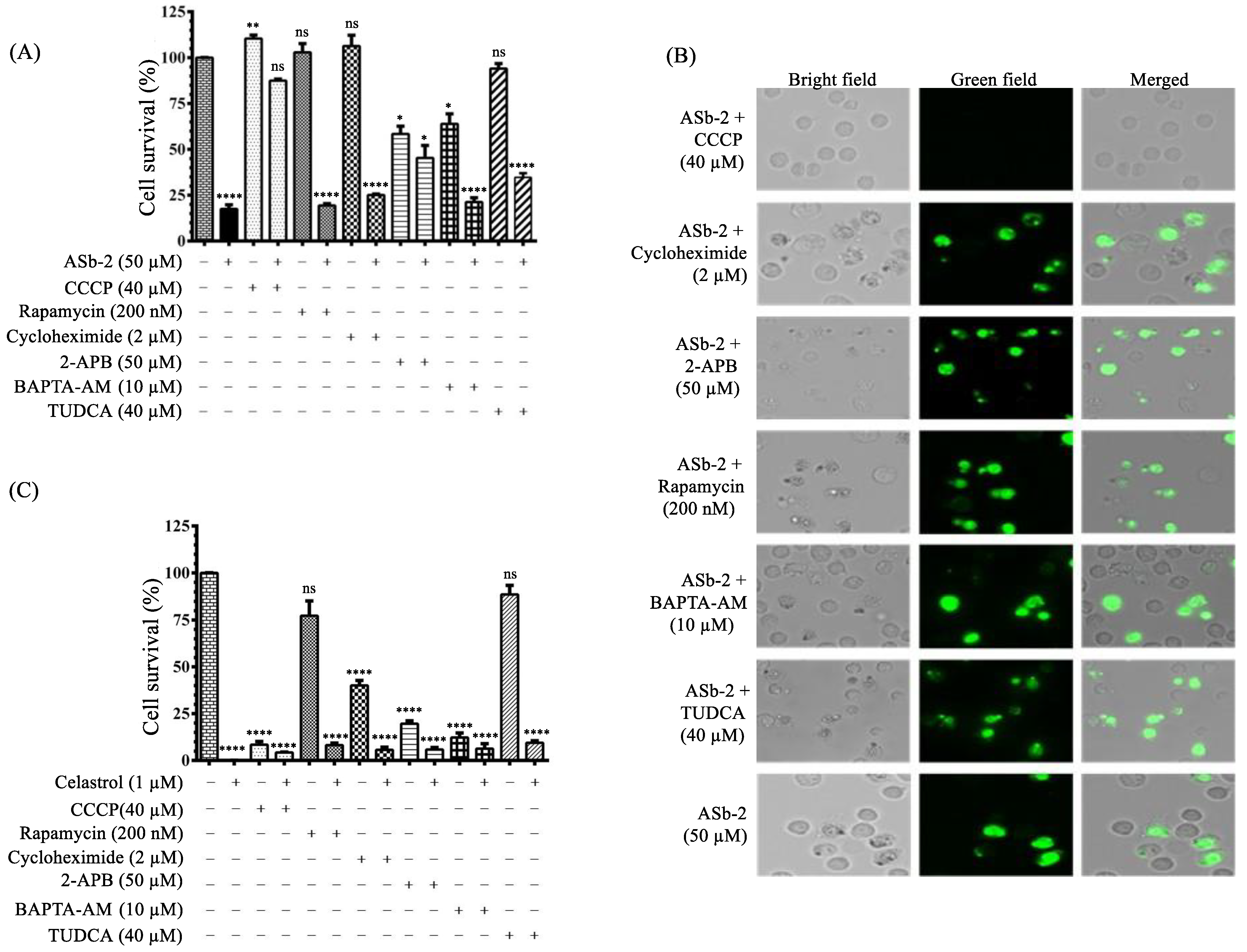 Molecules 26 07028 g005