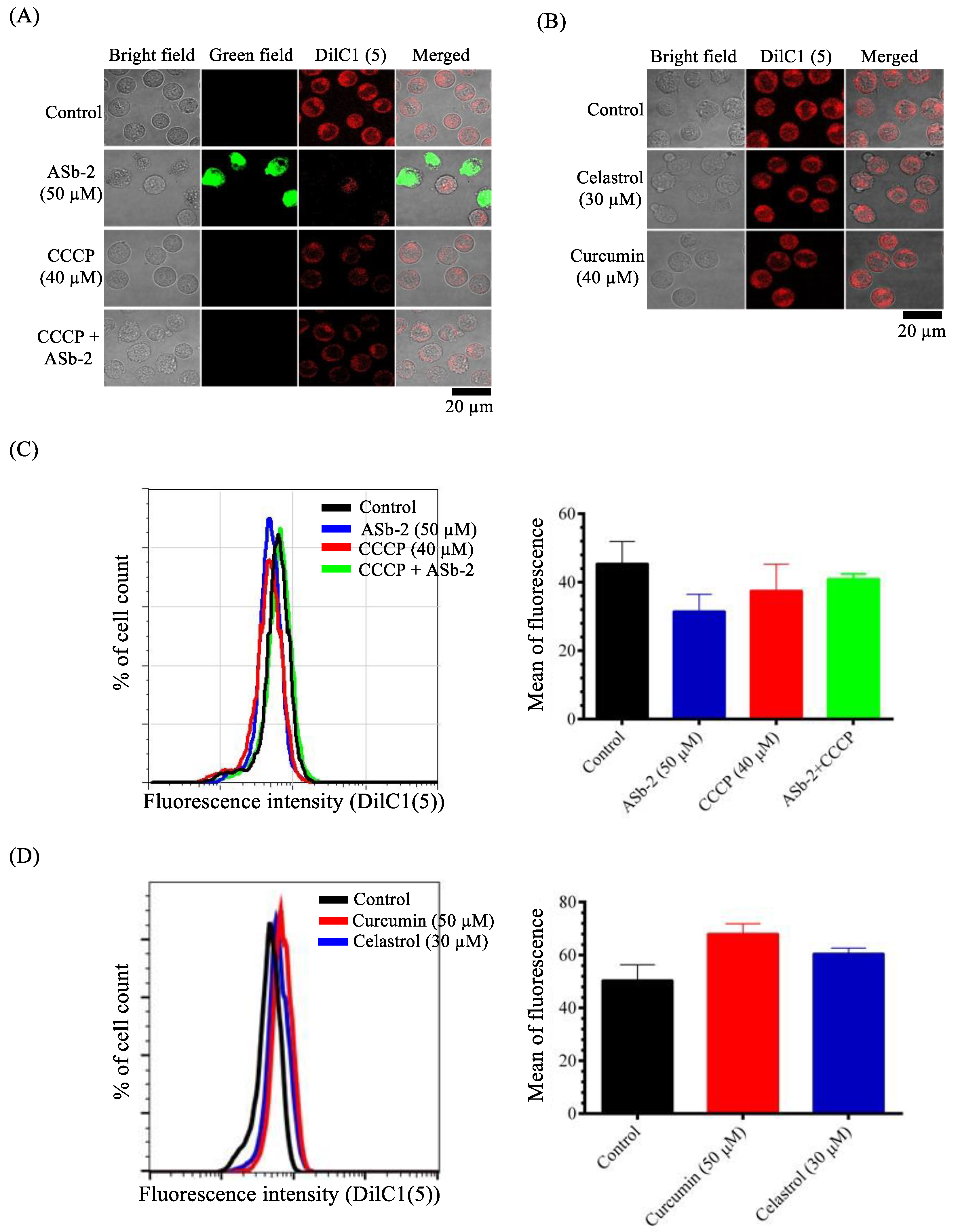 Molecules 26 07028 g010