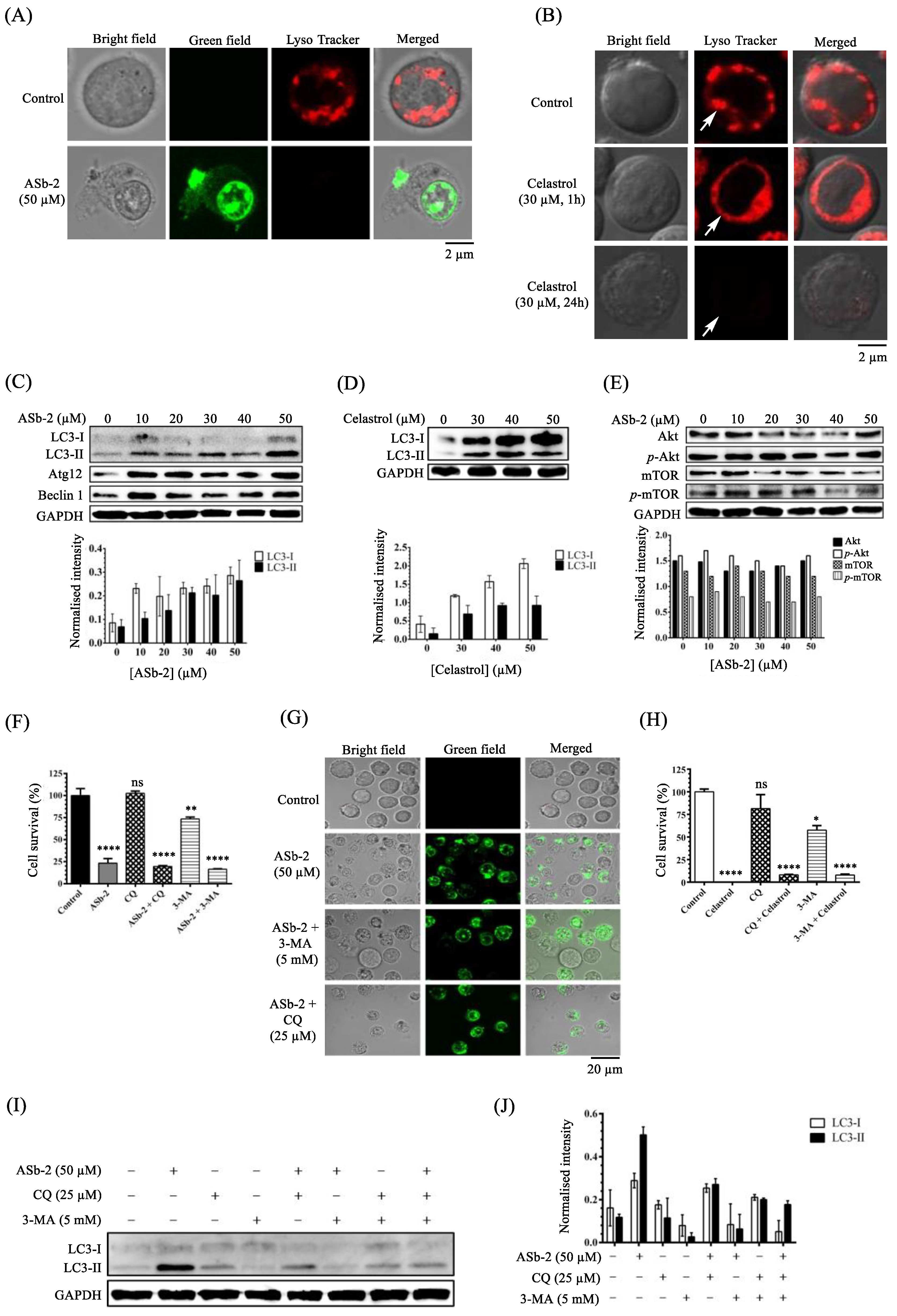 Molecules 26 07028 g011