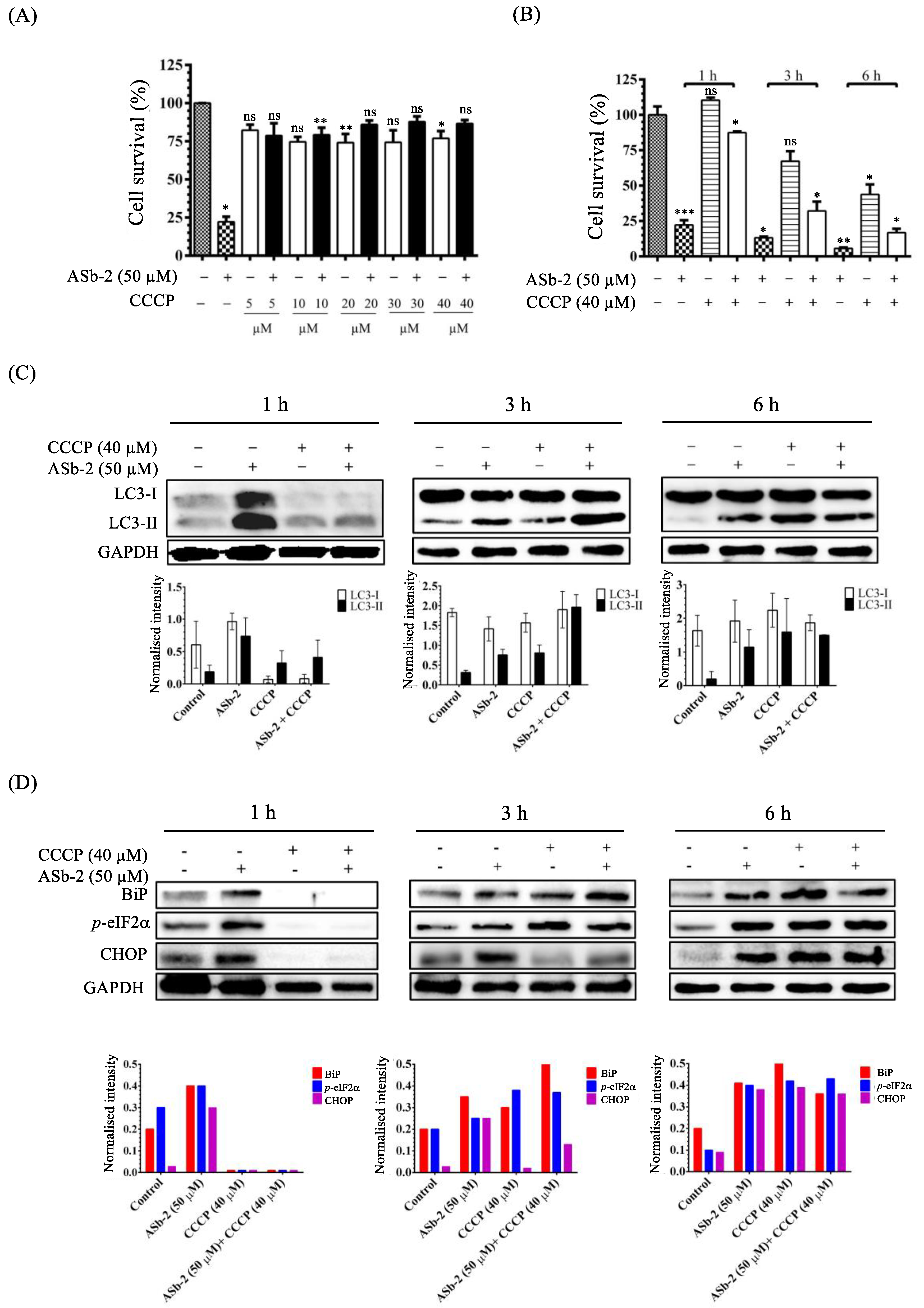 Molecules 26 07028 g014