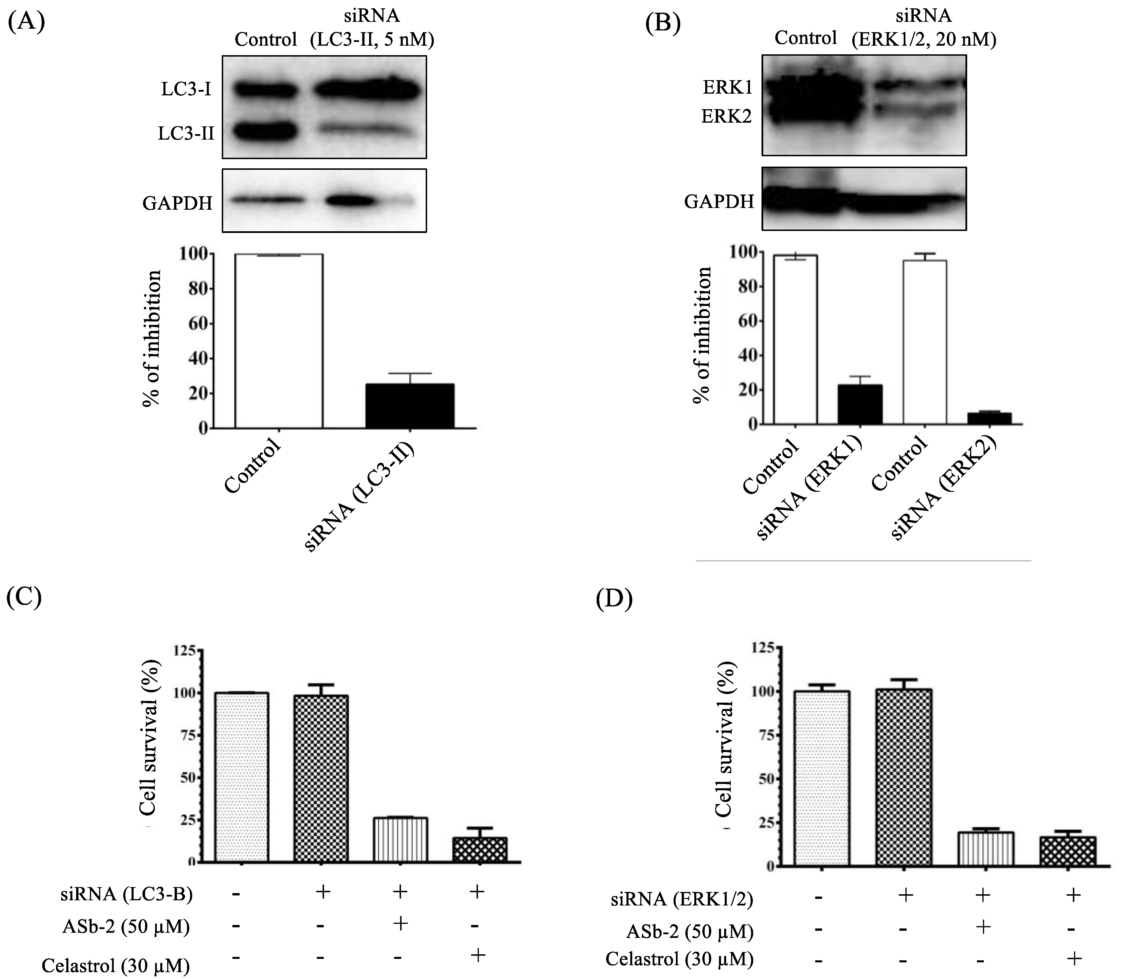 Molecules 26 07028 g015