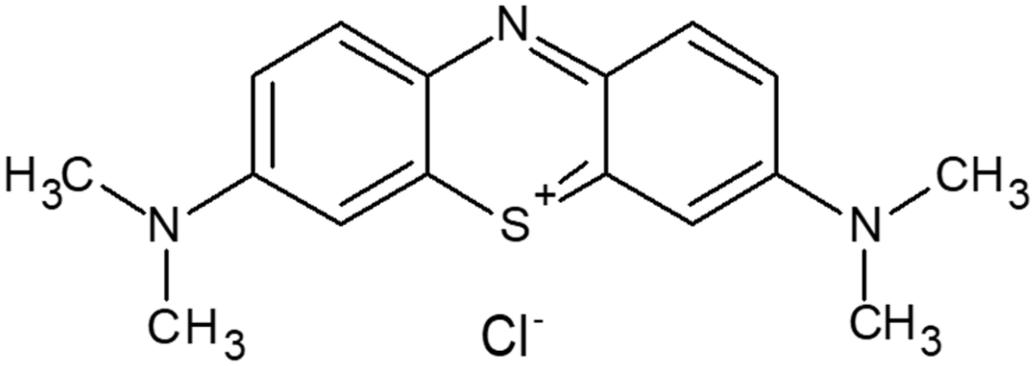 Molecules 26 07029 g001