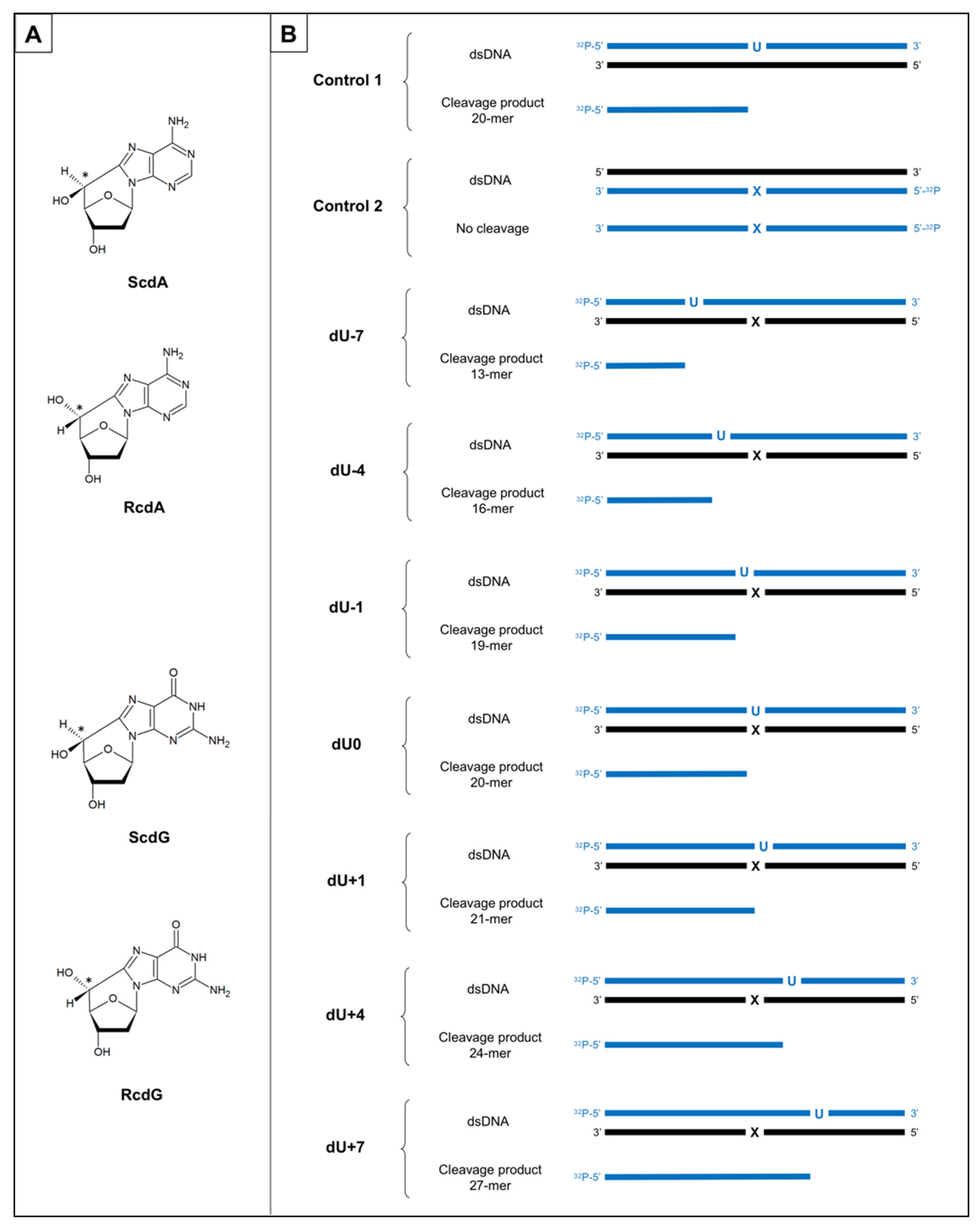 Molecules 26 07042 g001