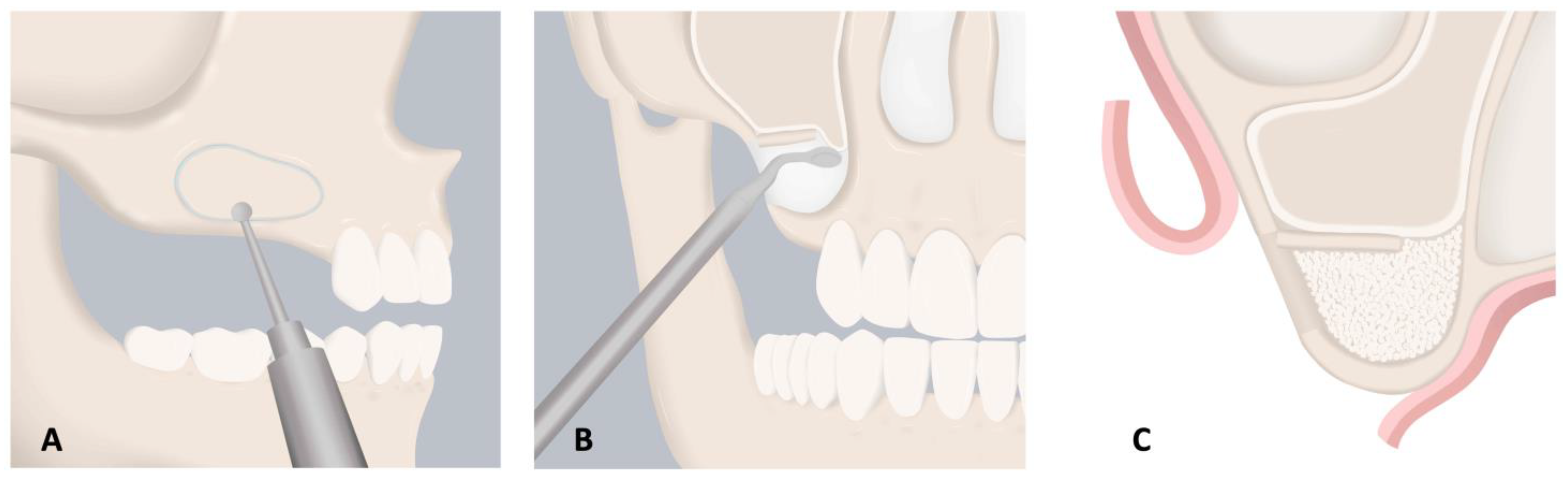 Molecules 26 07043 g002