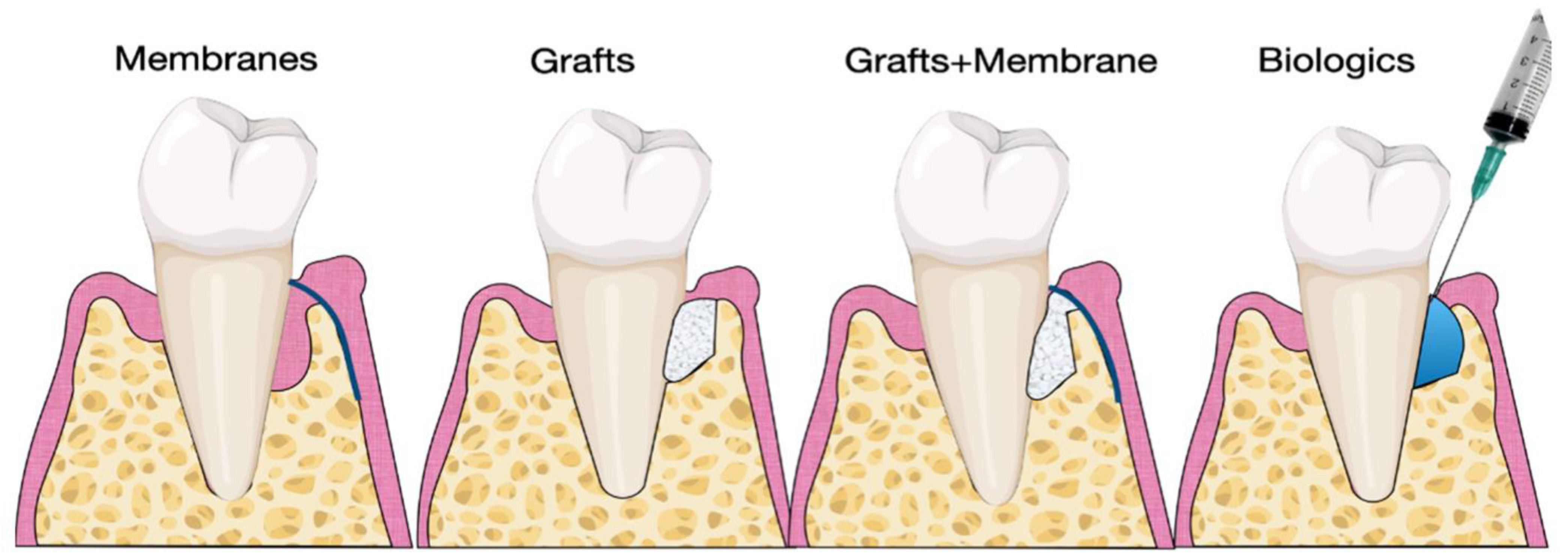 Molecules 26 07043 g004