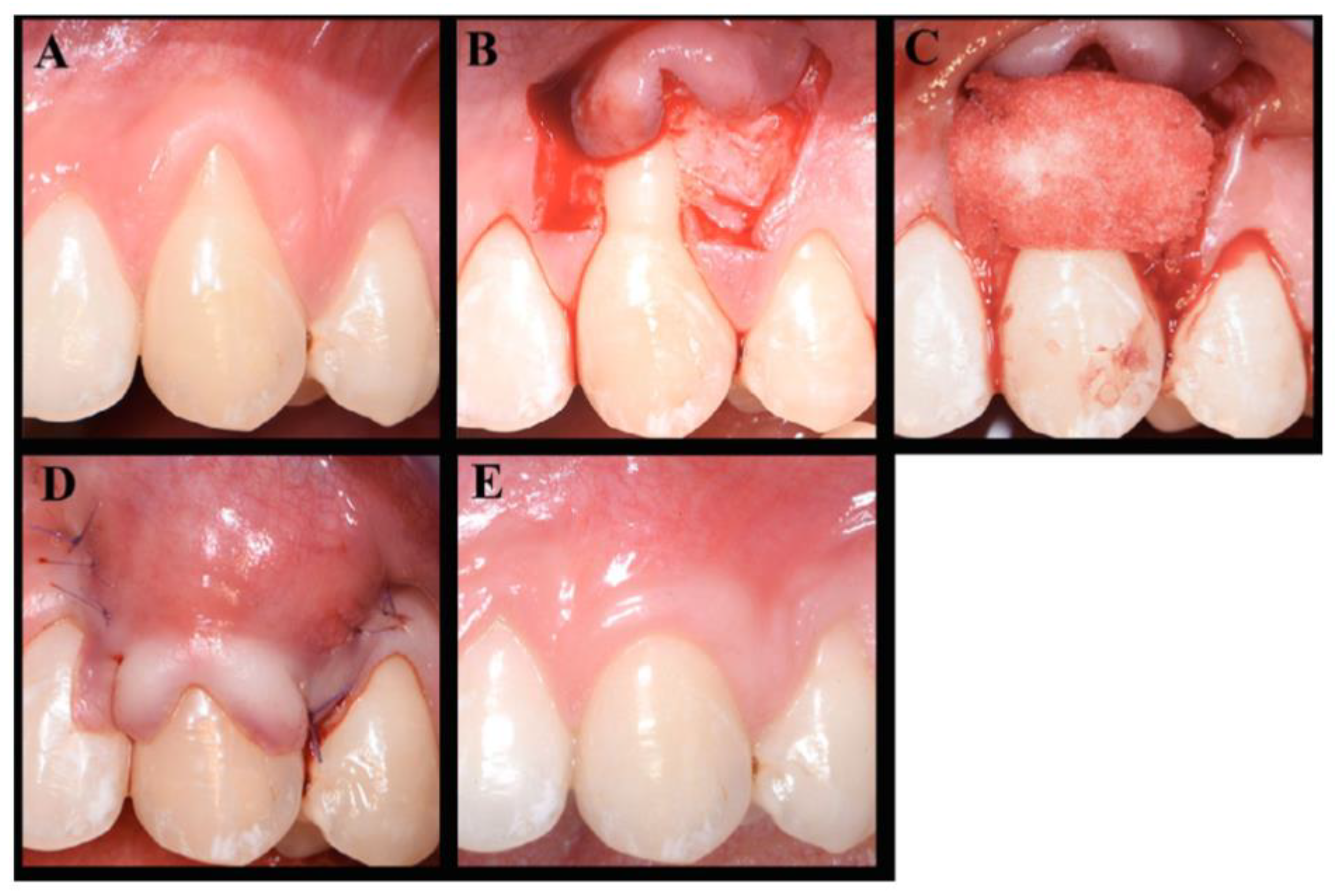 Molecules 26 07043 g005