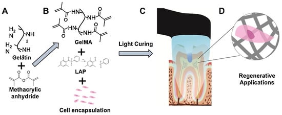 Molecules 26 07043 g006 550