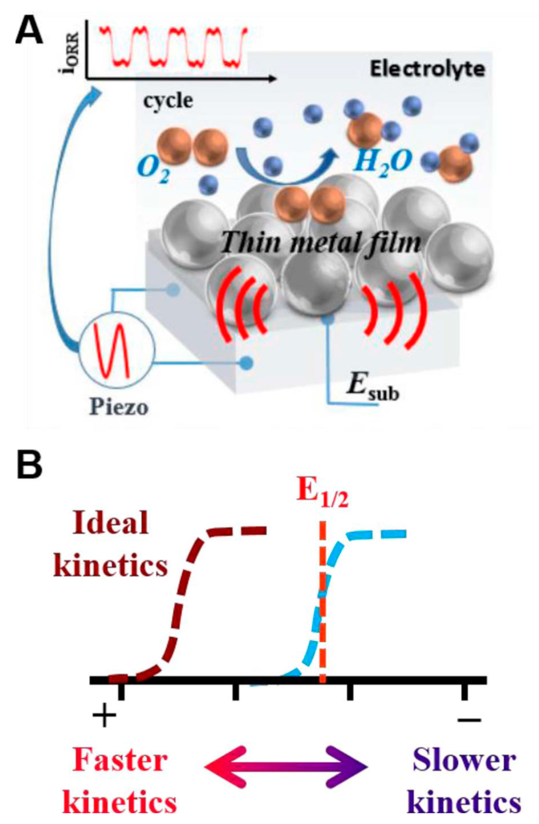 Molecules 26 07044 g008