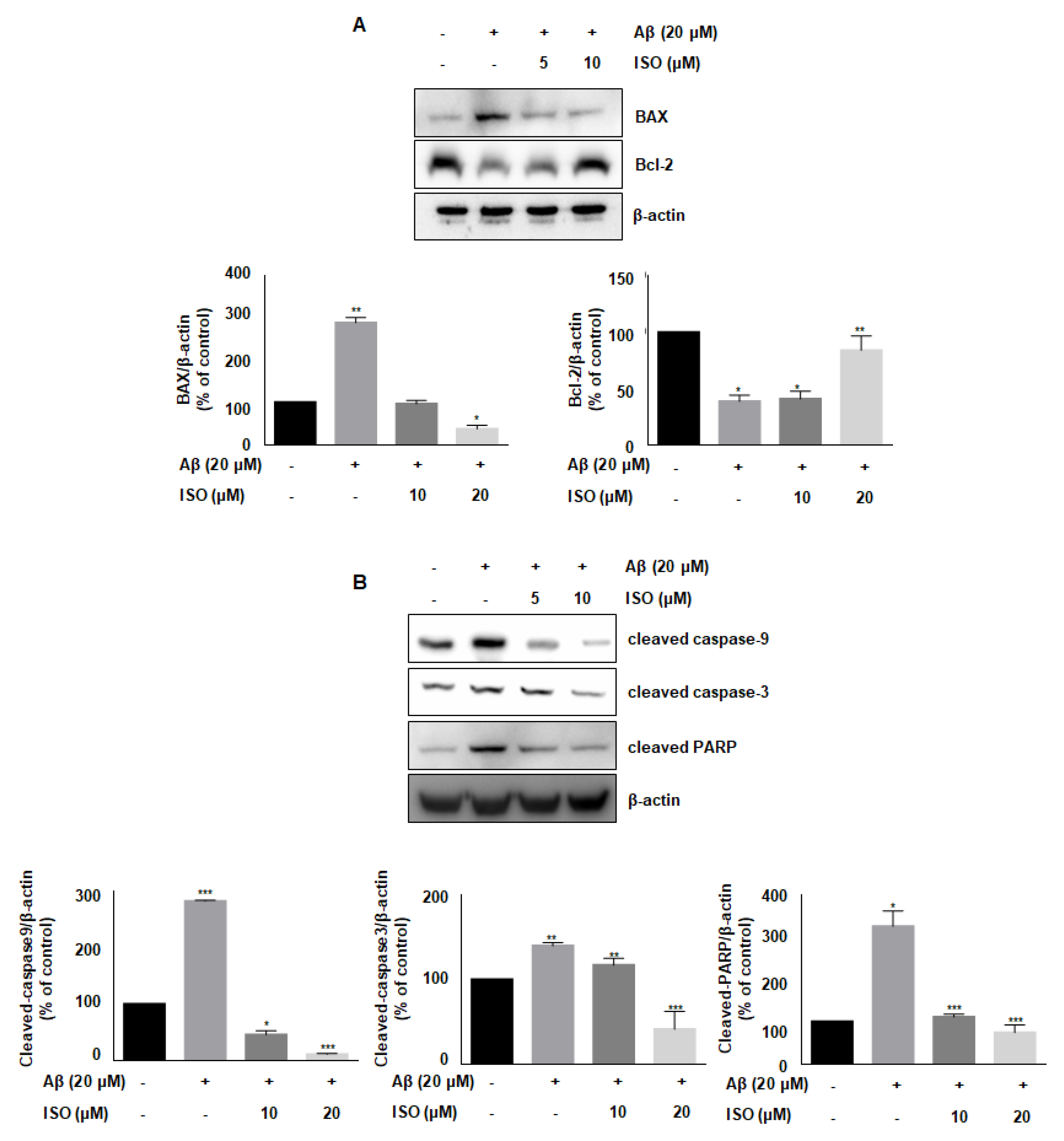 Molecules 26 07056 g004