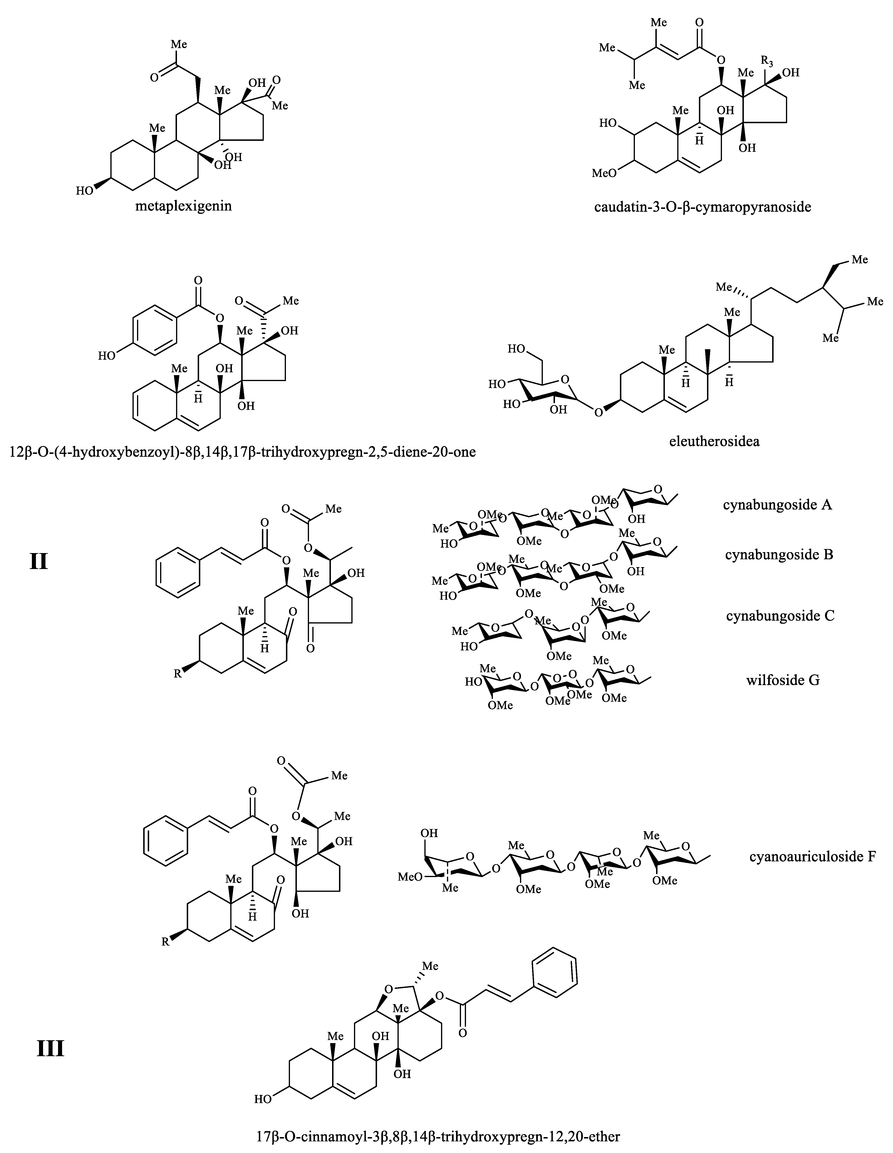Molecules 26 07065 g003b Molecules 26 07065 g003b