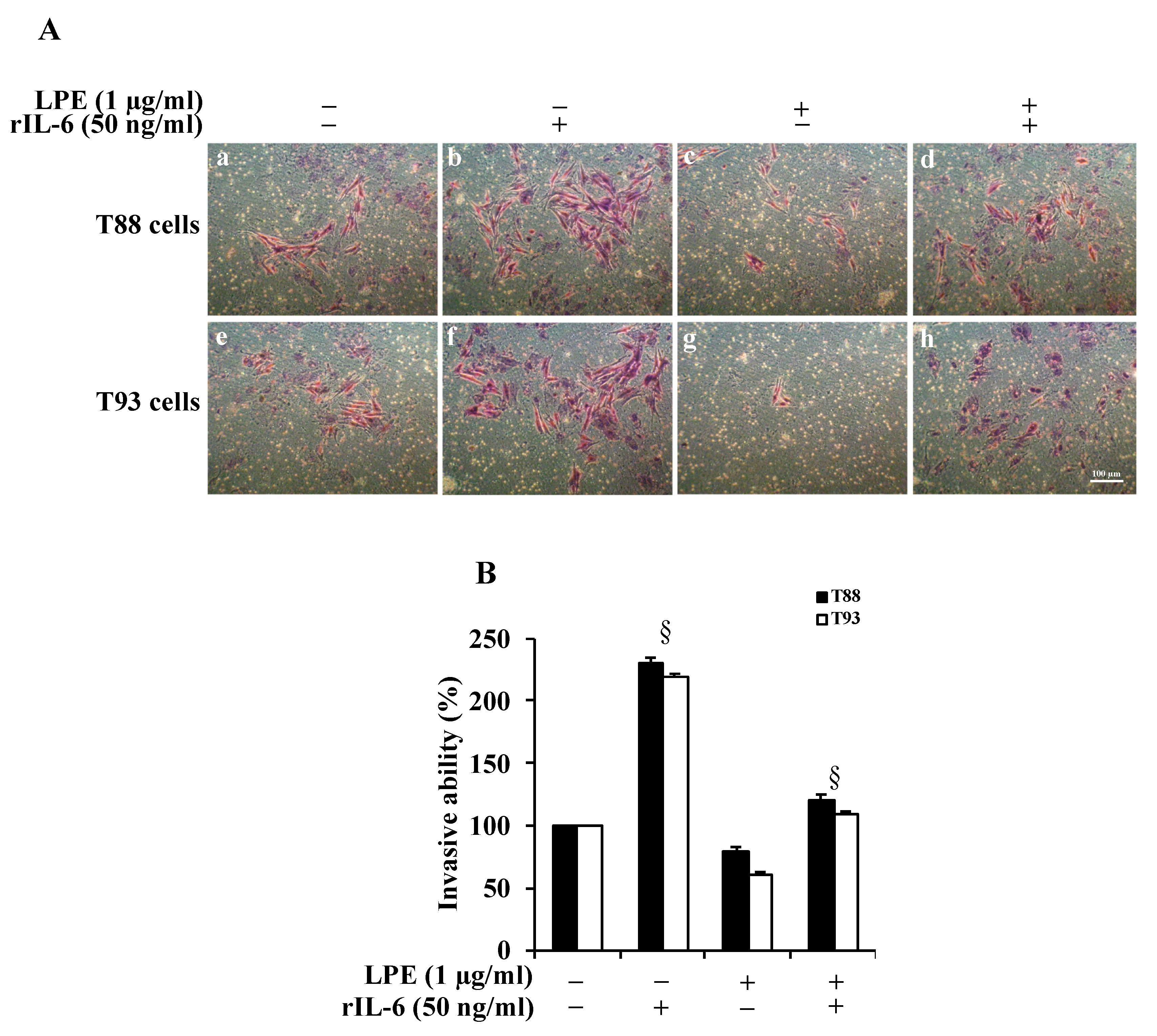 Molecules 26 07076 g002