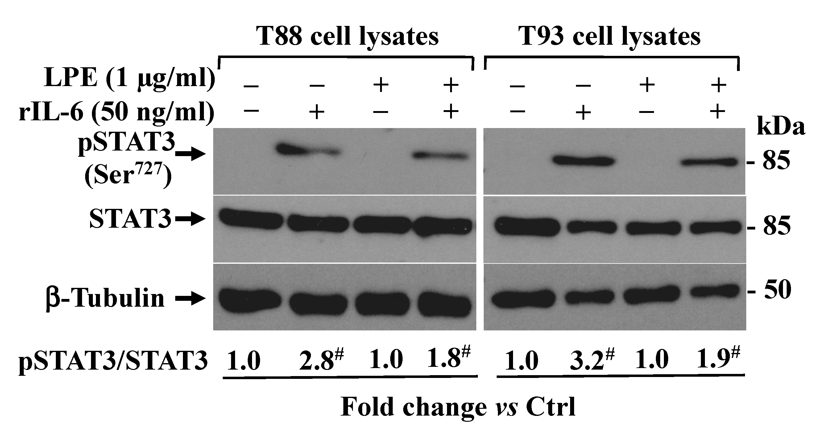 Molecules 26 07076 g004