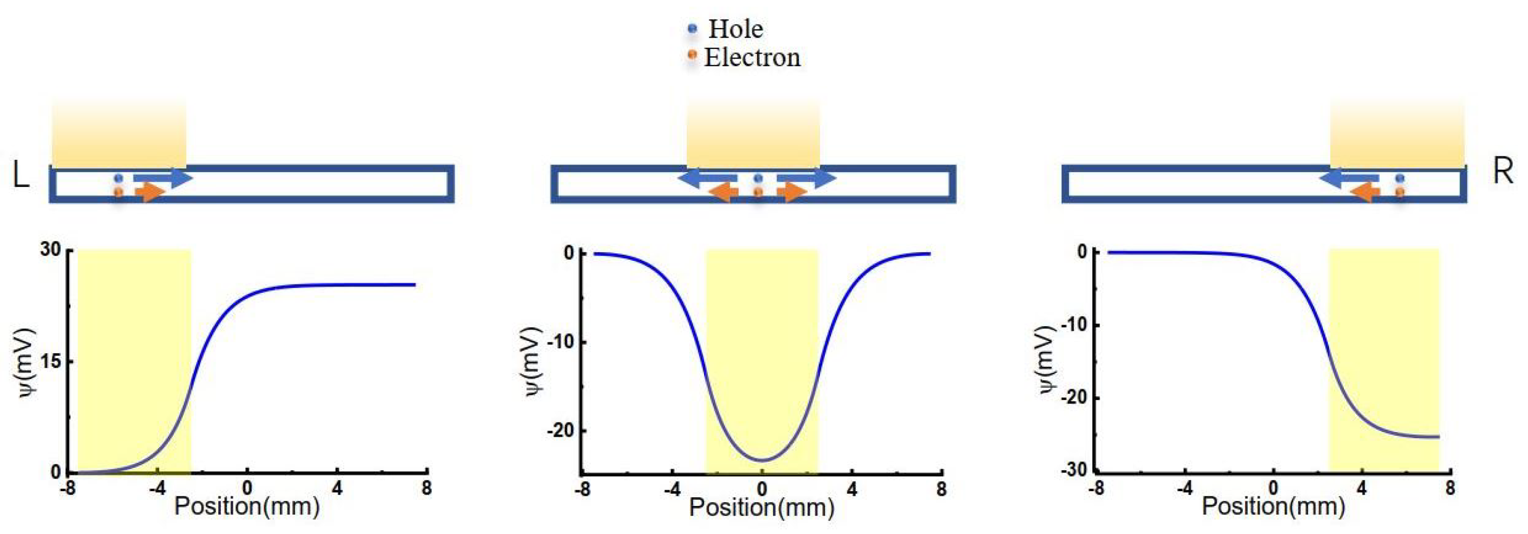 Molecules 26 07078 g001