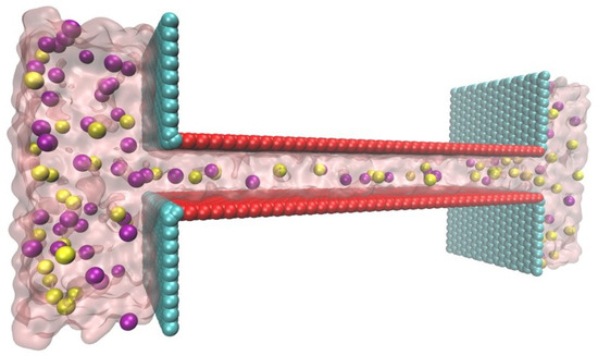 Molecules 26 07078 g002