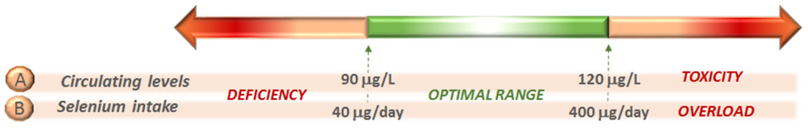 Molecules 26 07084 g002