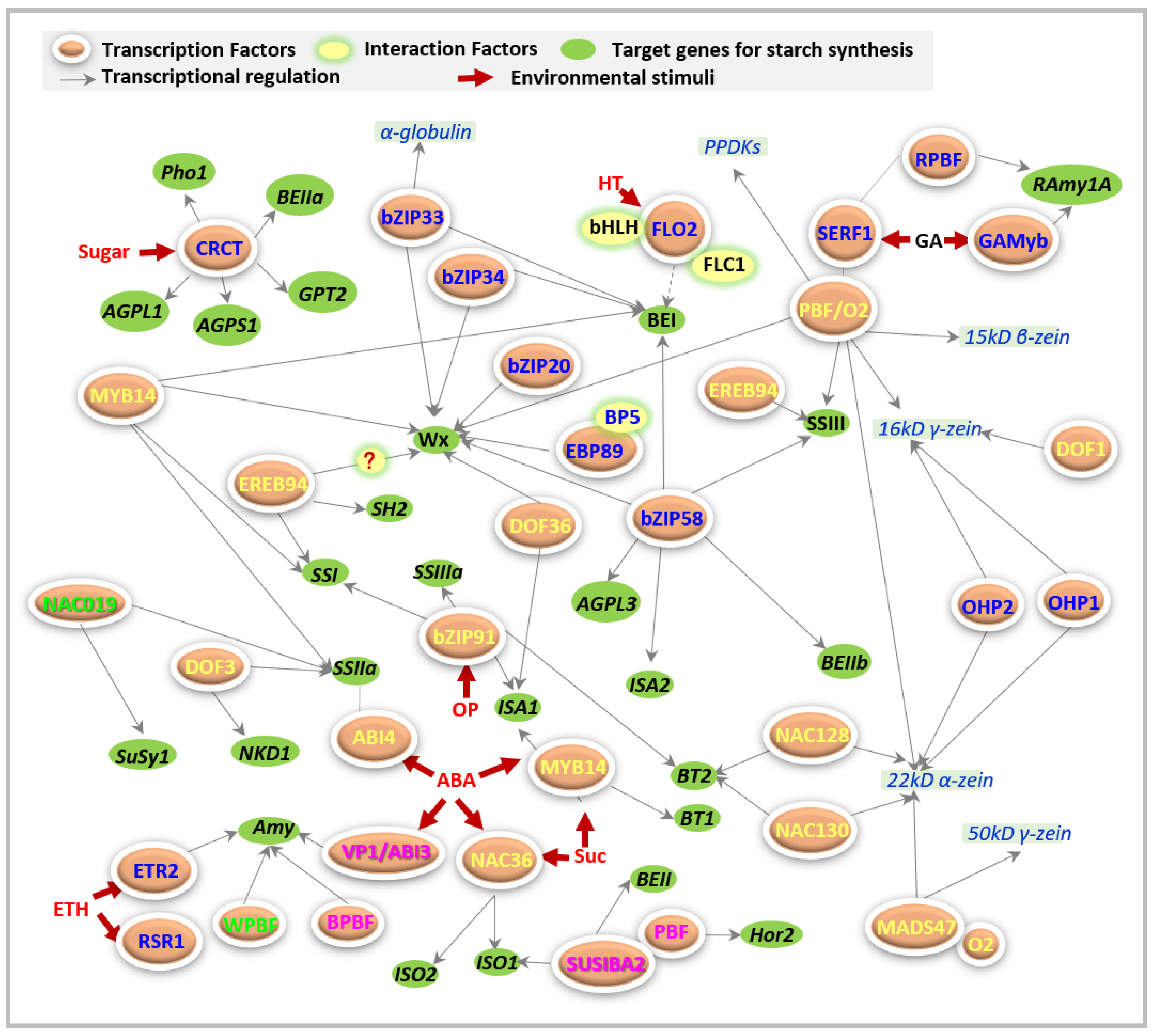 Molecules 26 07092 g001 Molecules 26 07092 g001