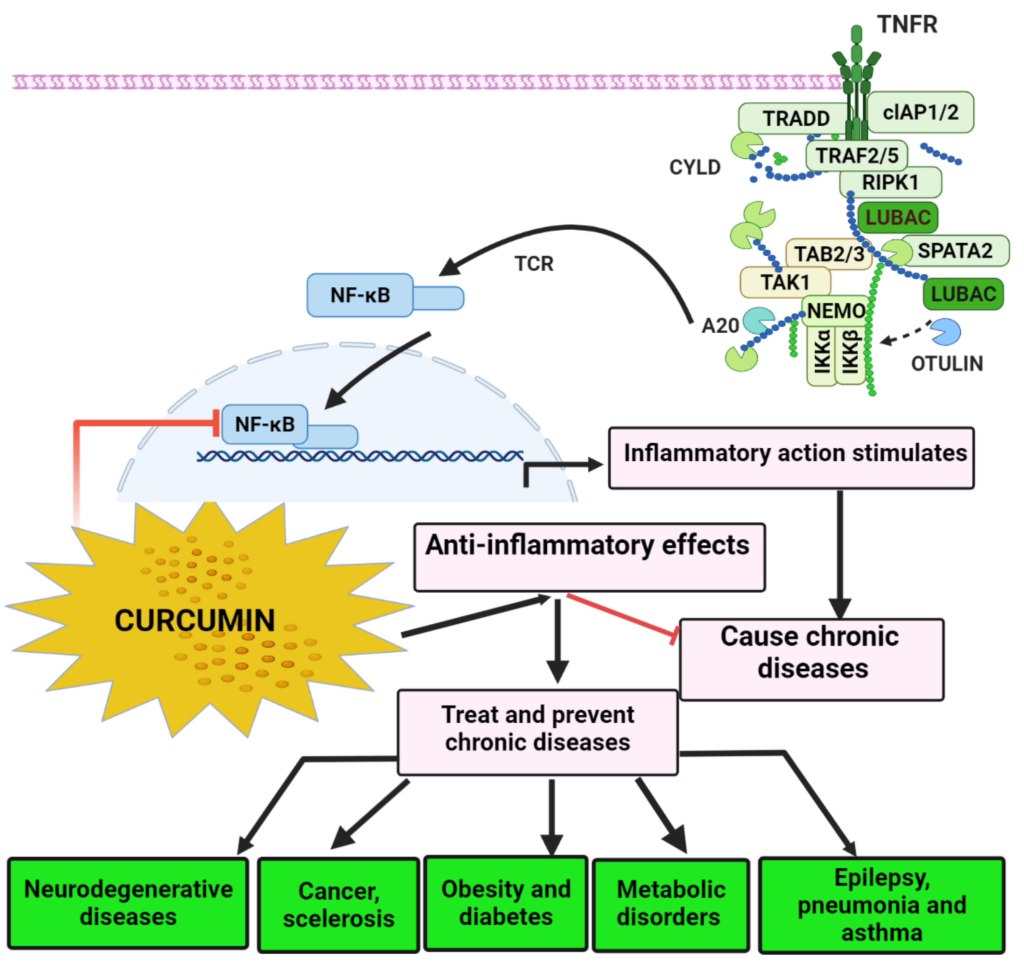 Molecules 26 07109 g002