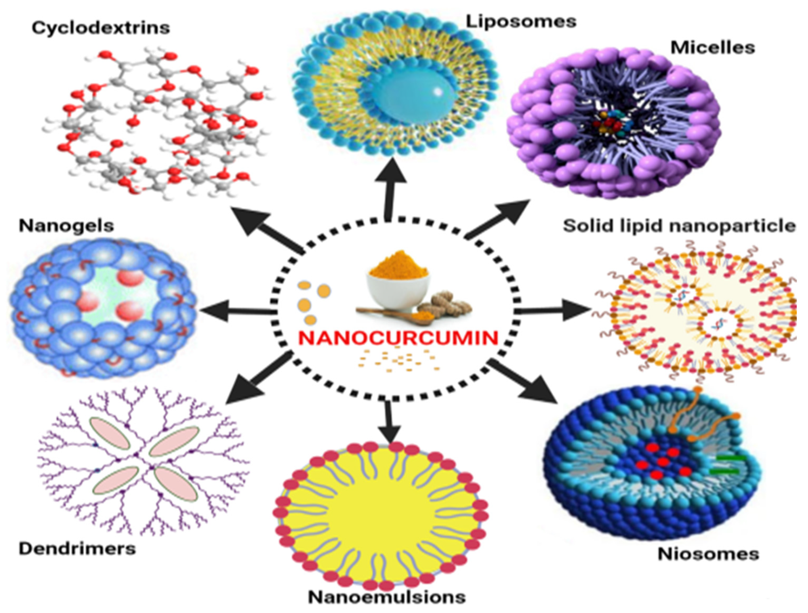 Molecules 26 07109 g004