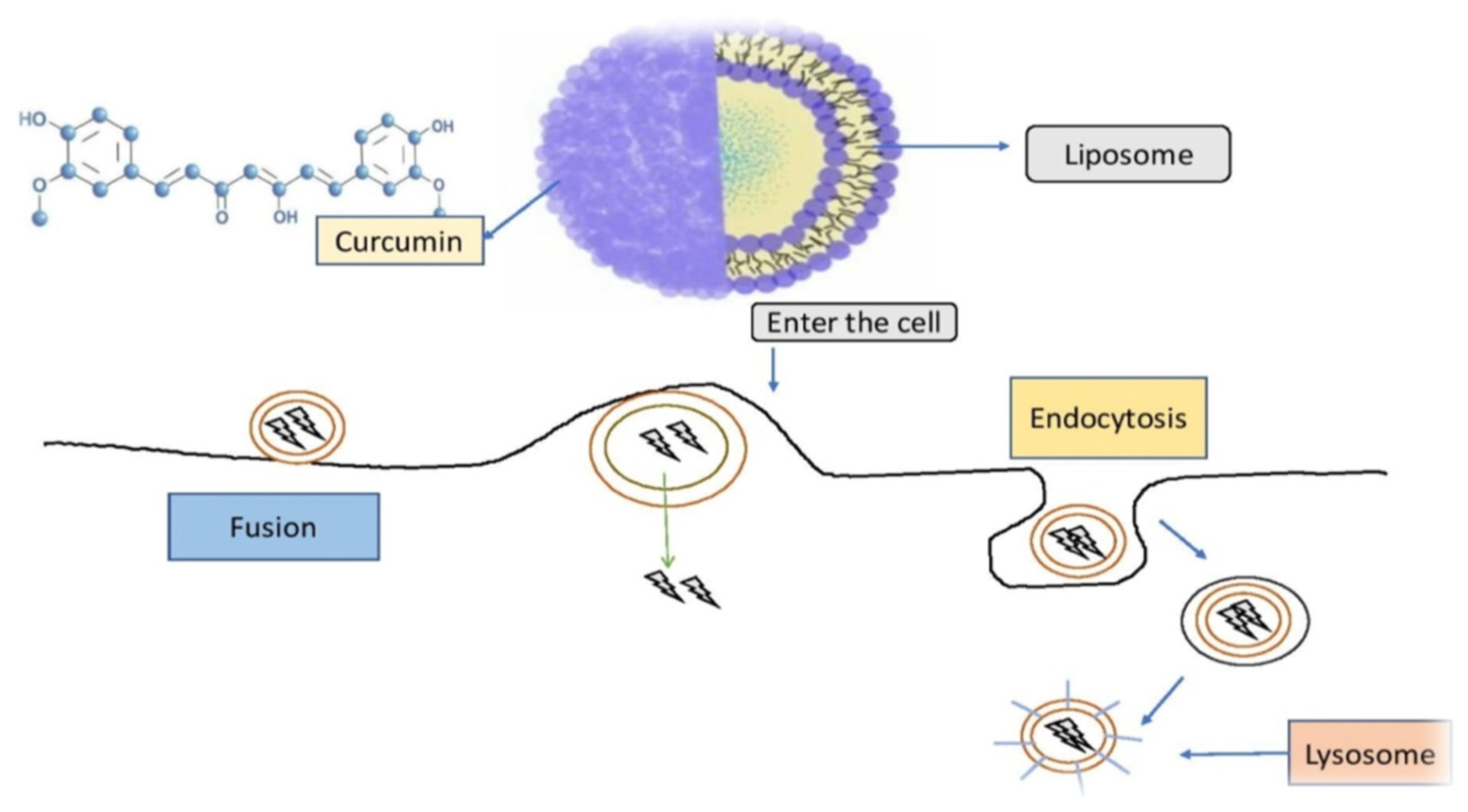 Molecules 26 07109 g005
