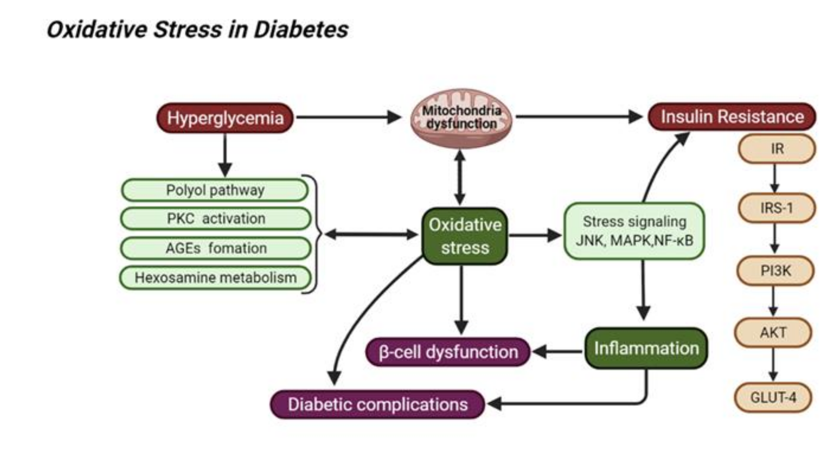 Molecules 26 07115 g001