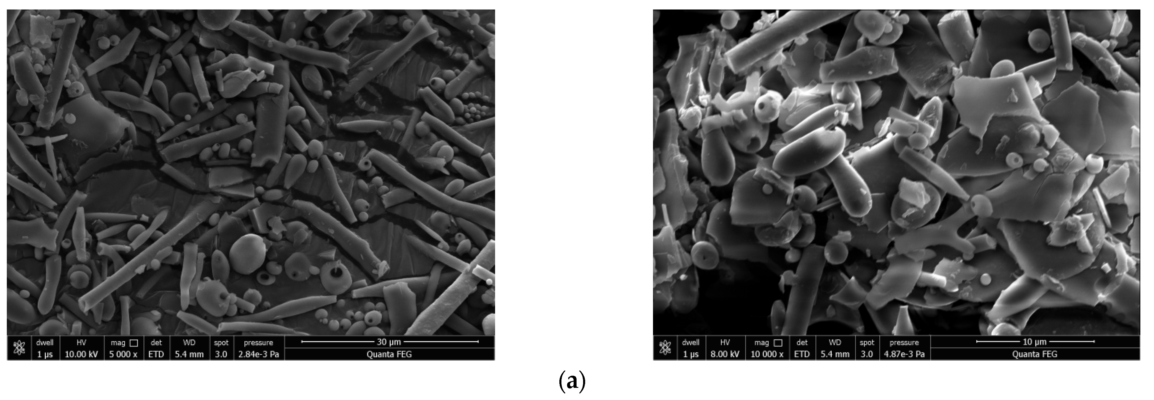 Molecules 26 07116 g006a