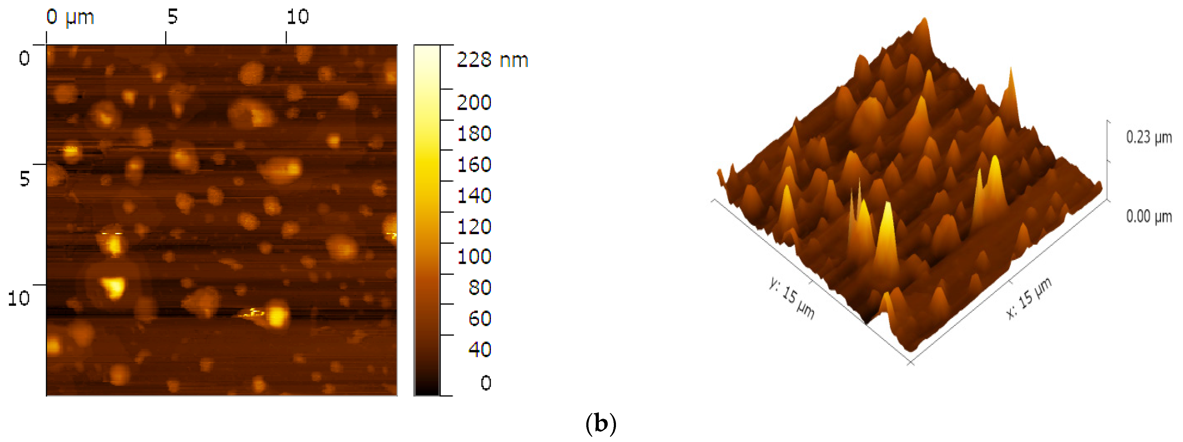 Molecules 26 07116 g006b