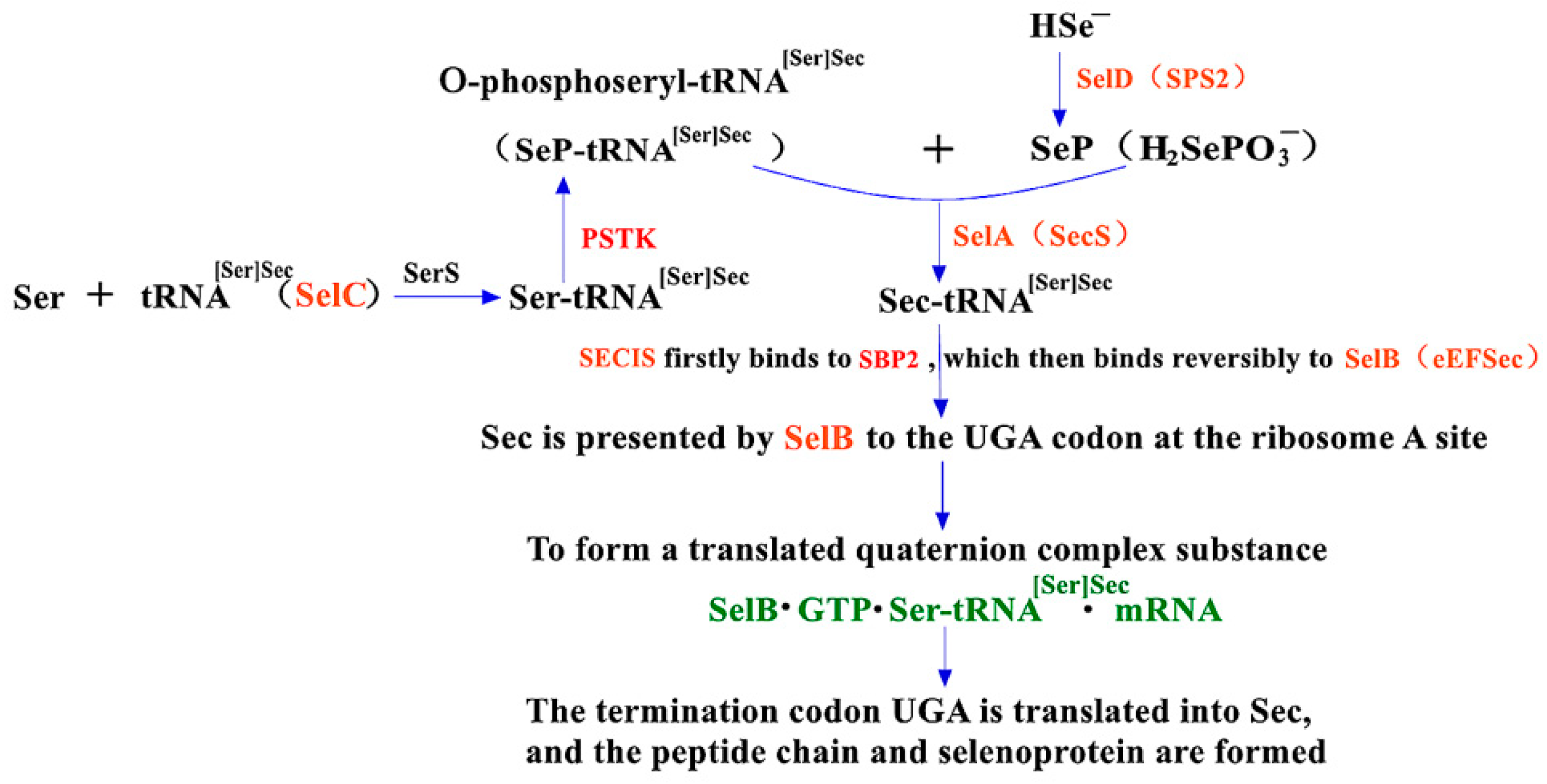 Molecules 26 07120 g002