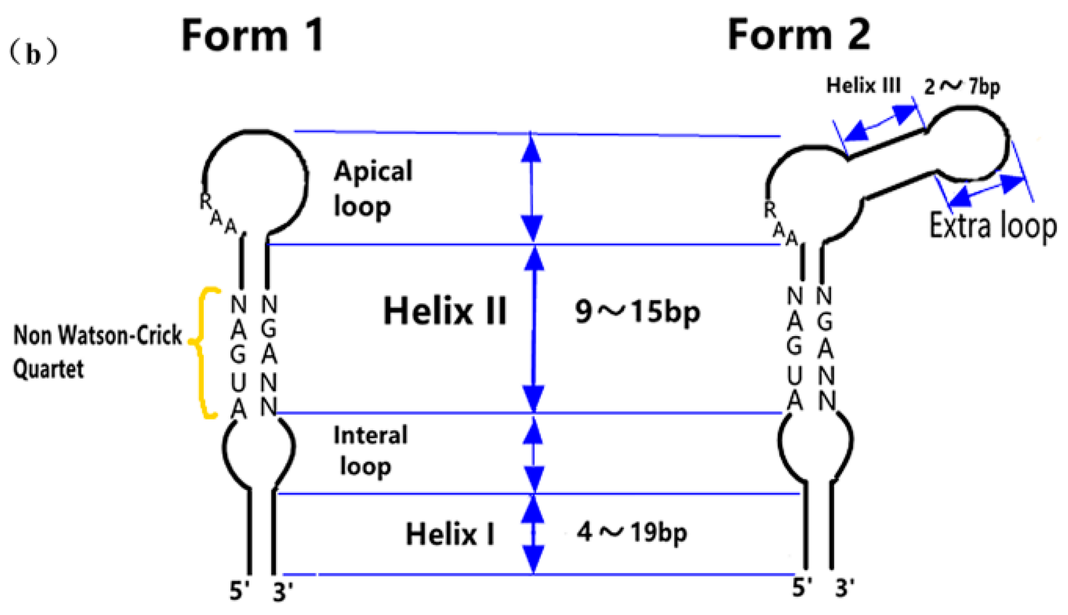 Molecules 26 07120 g004b