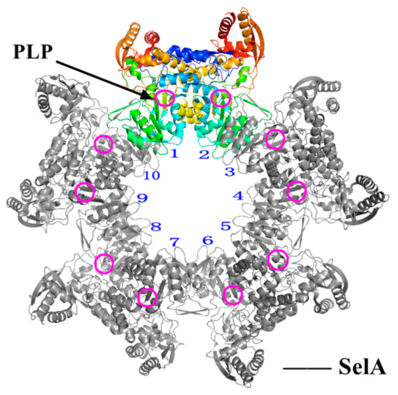 Molecules 26 07120 g006