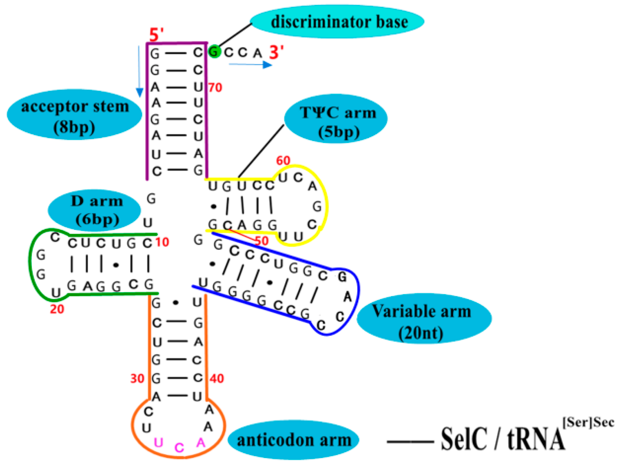 Molecules 26 07120 g008