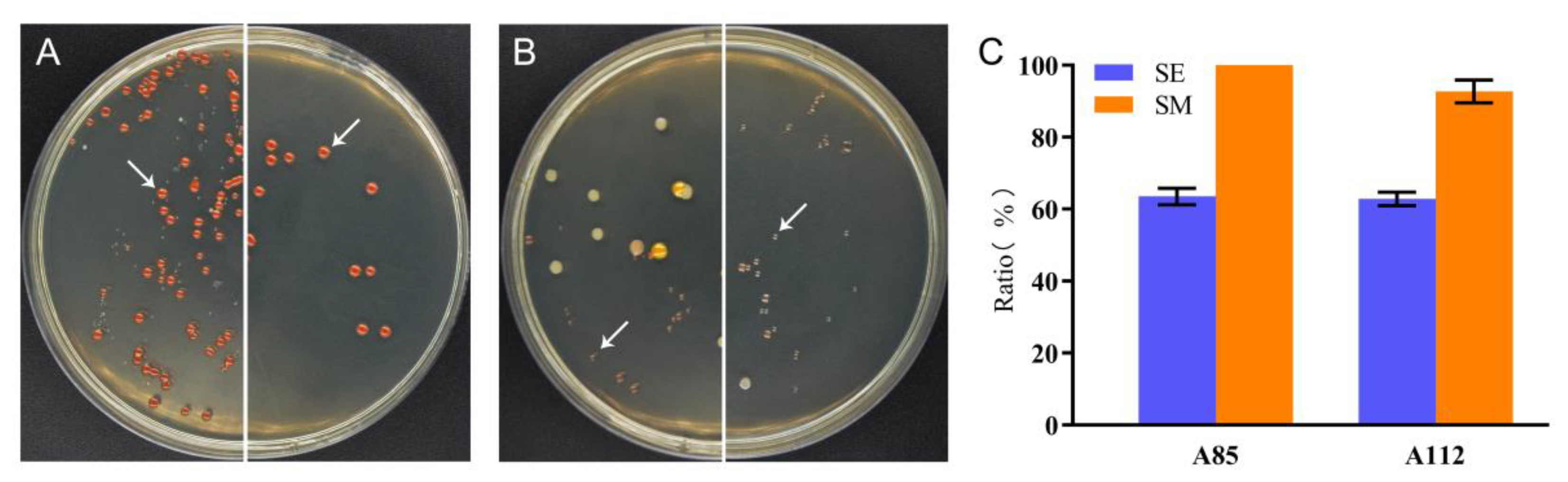 Molecules 26 07122 g005