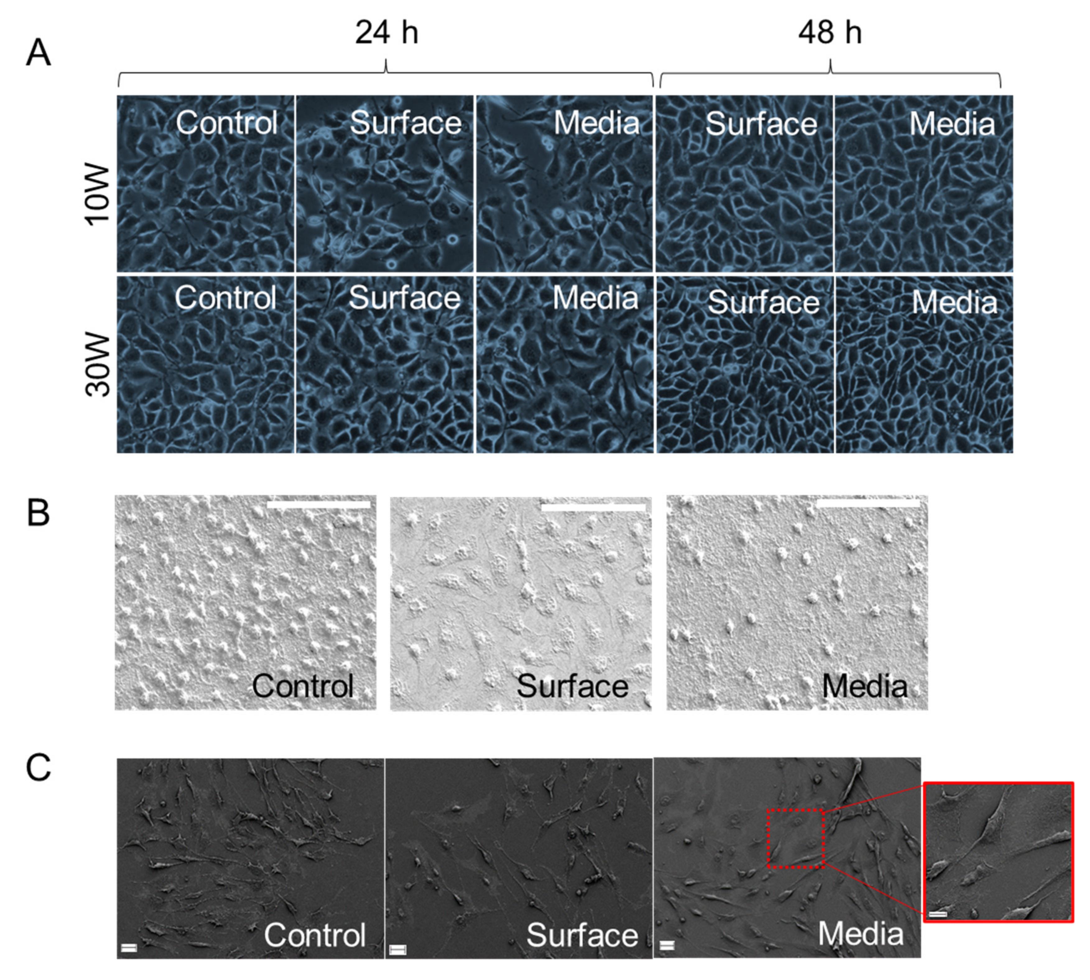 Molecules 26 07133 g005 Molecules 26 07133 g005