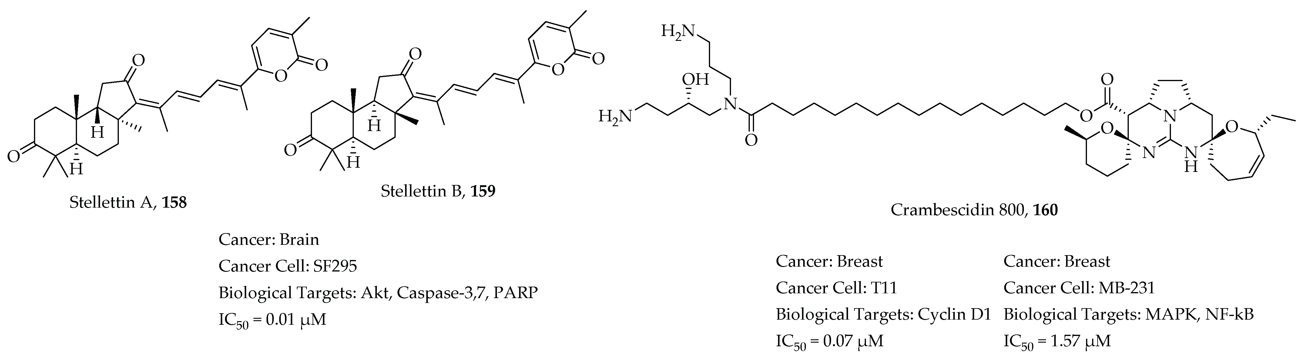 Molecules 26 07134 g039