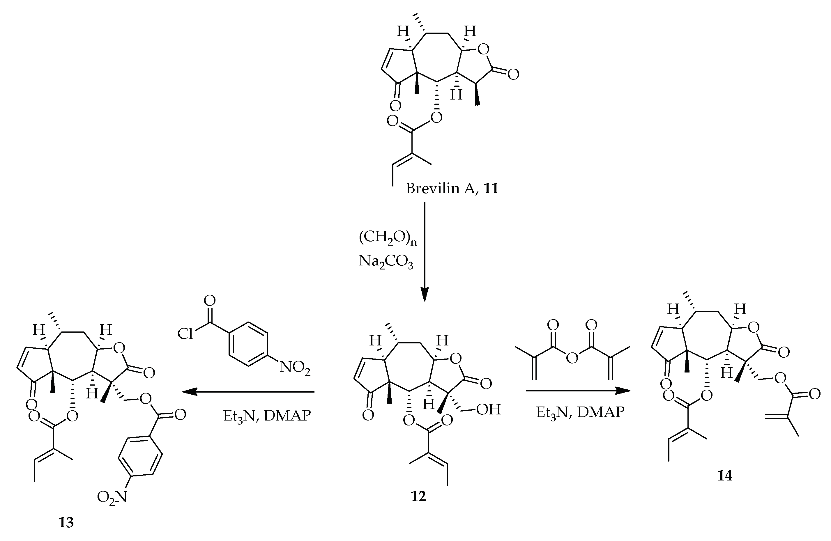 Molecules 26 07134 sch001