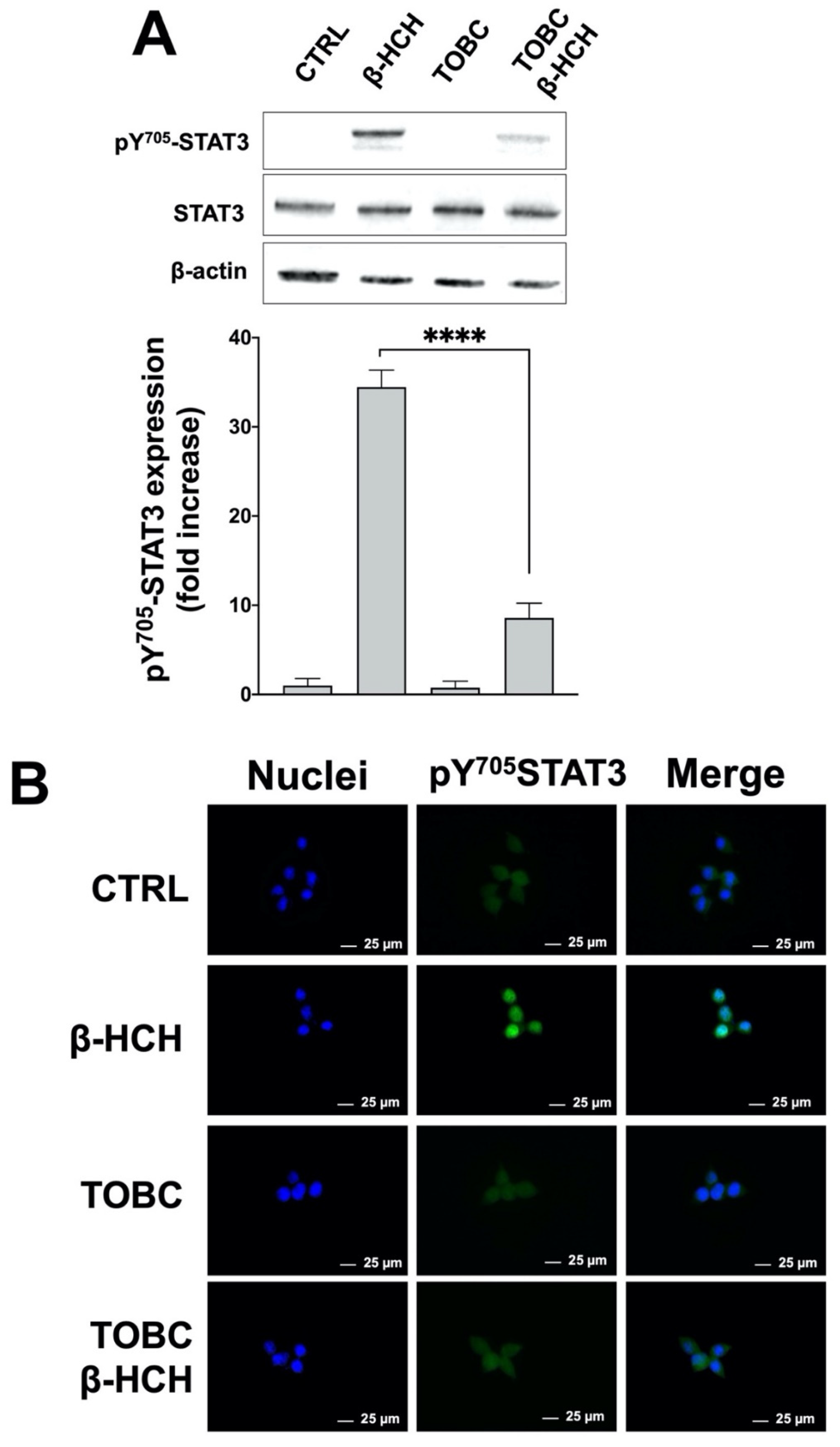 Molecules 26 07135 g003