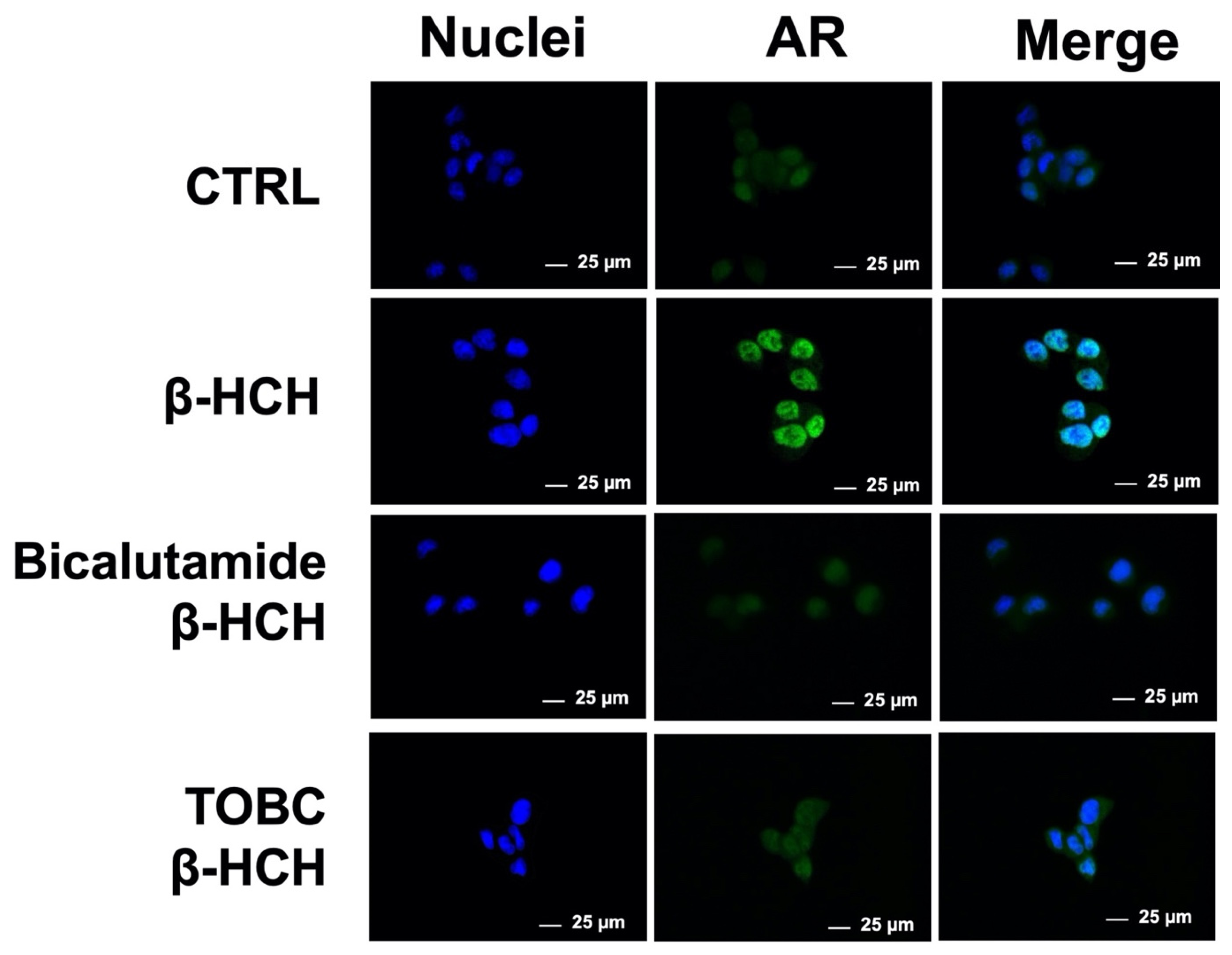 Molecules 26 07135 g005