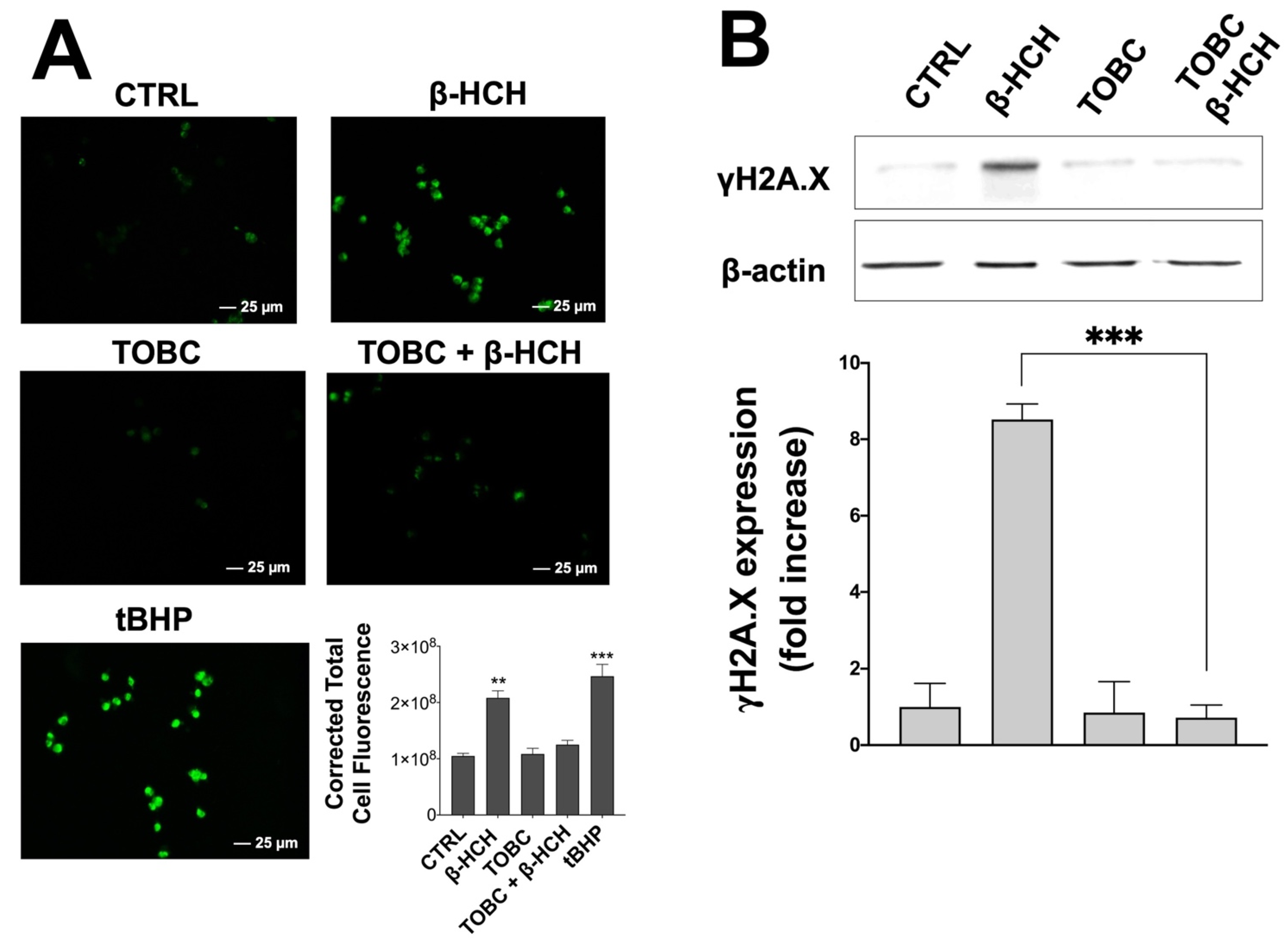 Molecules 26 07135 g006a