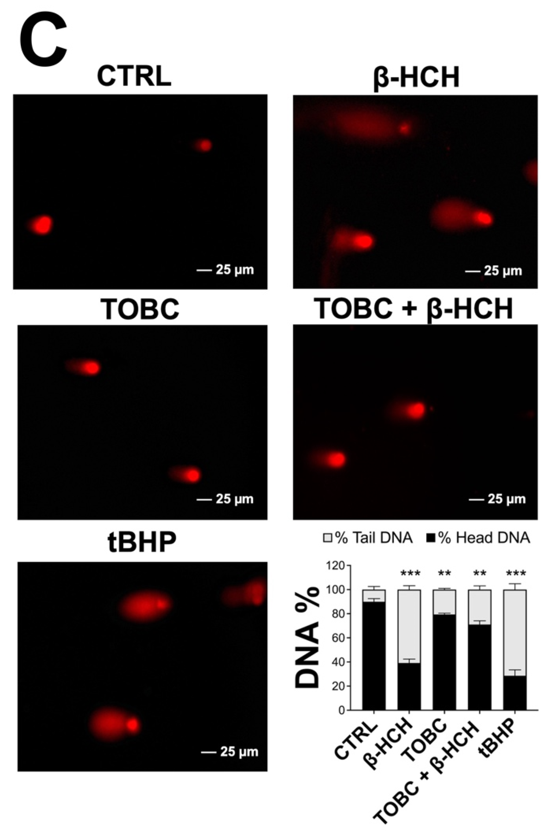 Molecules 26 07135 g006b