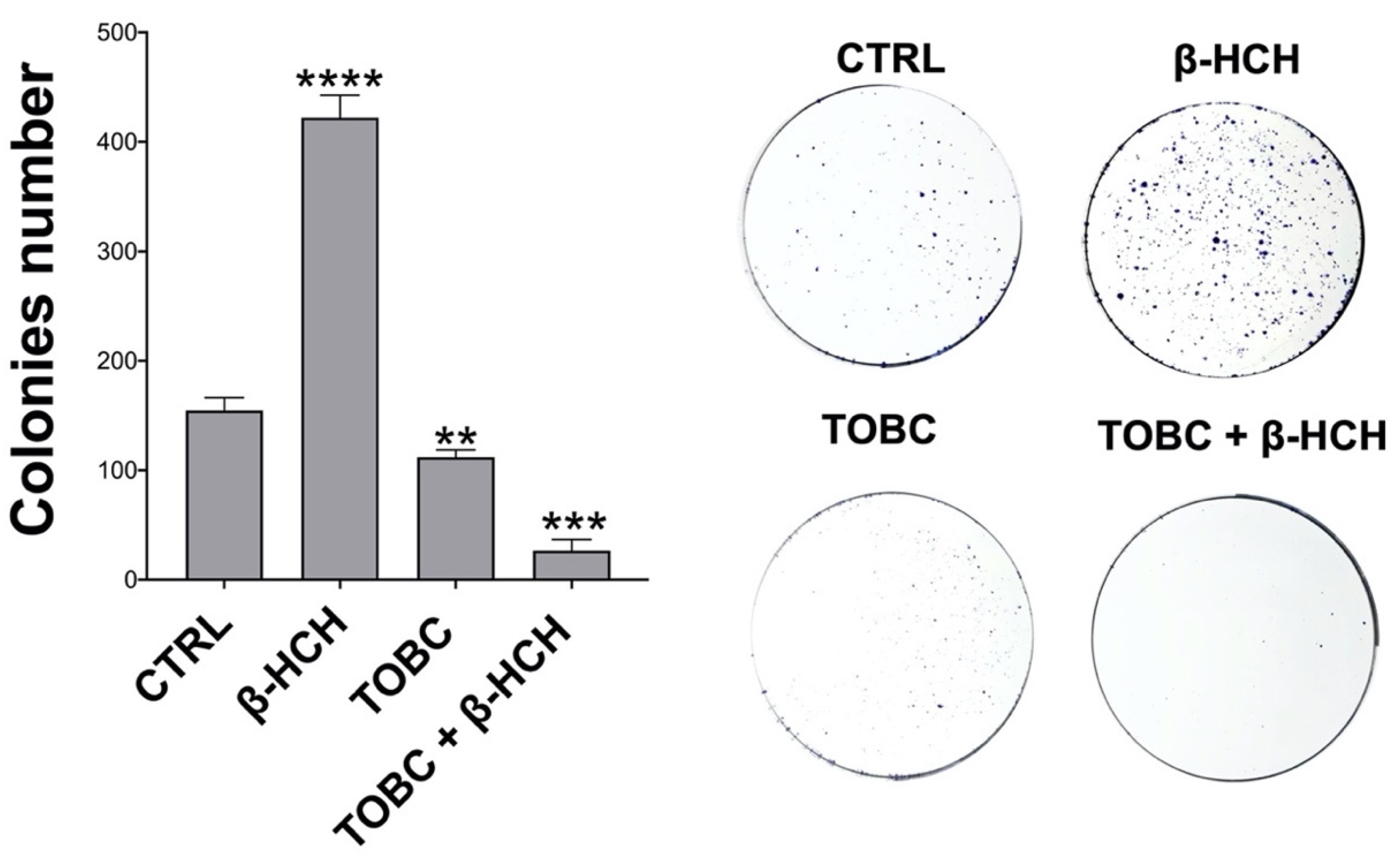 Molecules 26 07135 g008