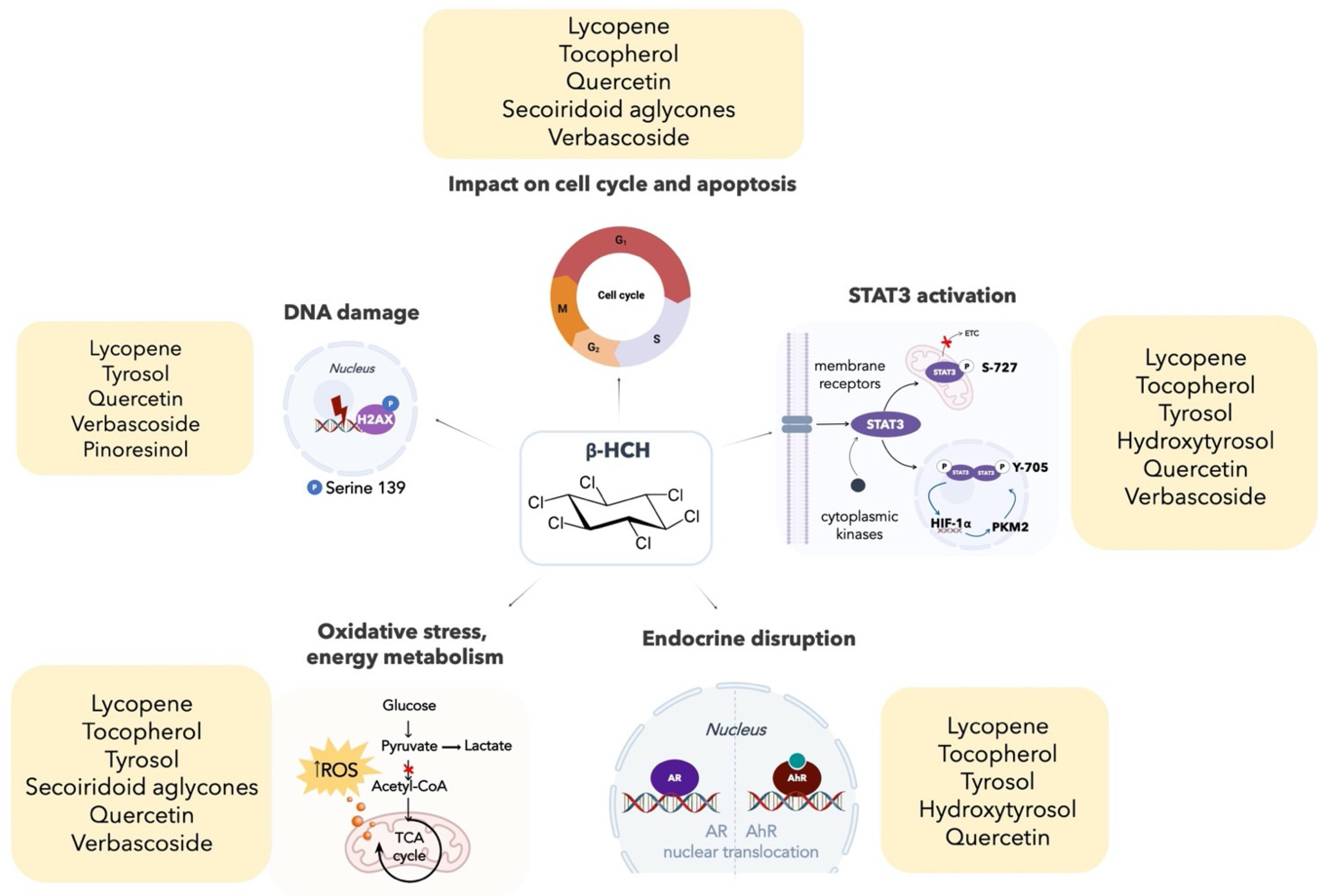 Molecules 26 07135 g009