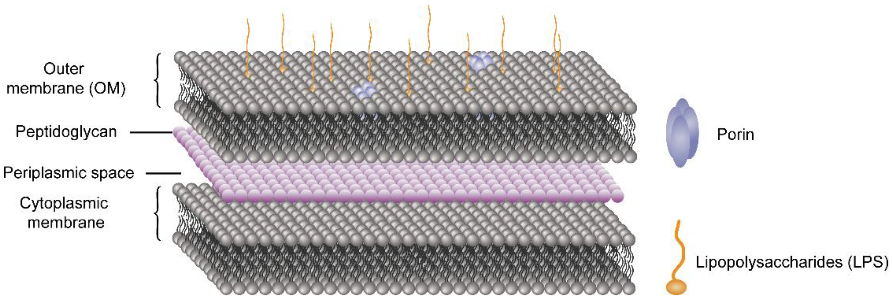 Molecules 26 07136 g004