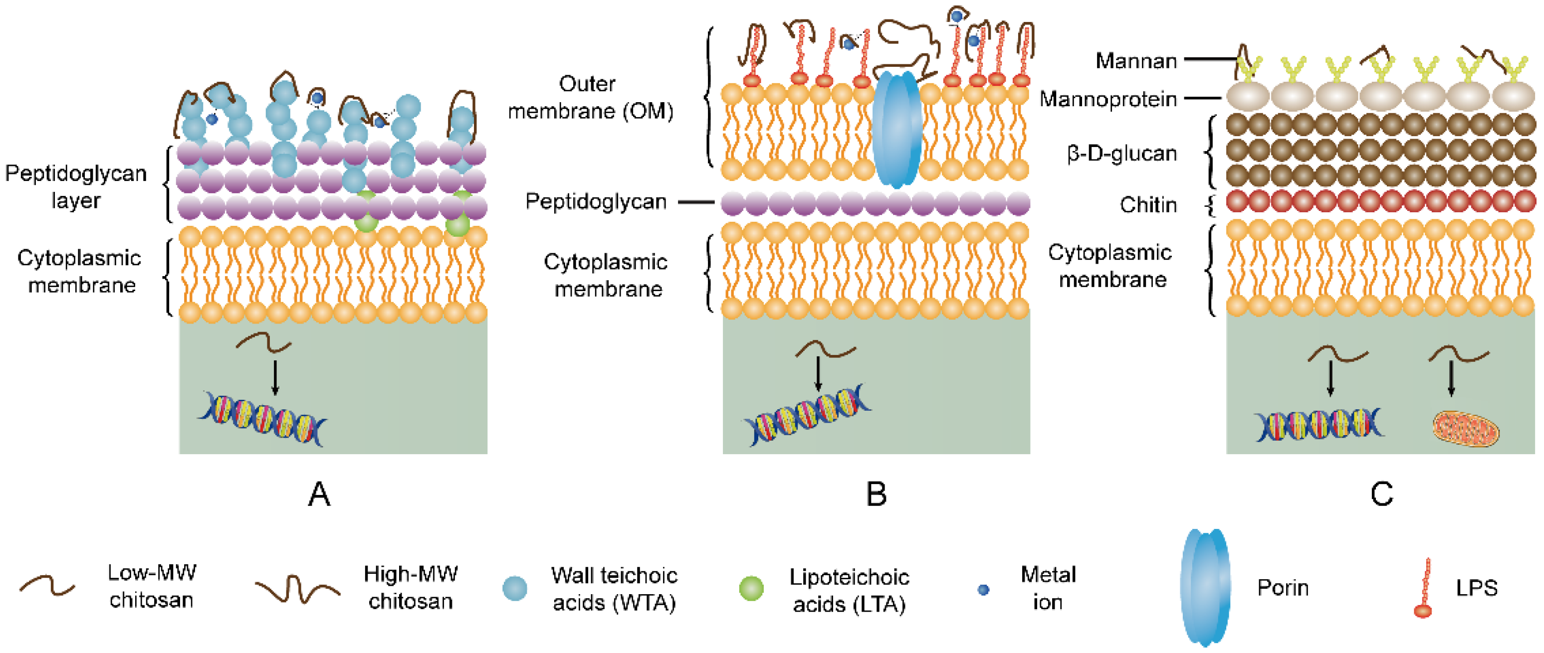 Molecules 26 07136 g006
