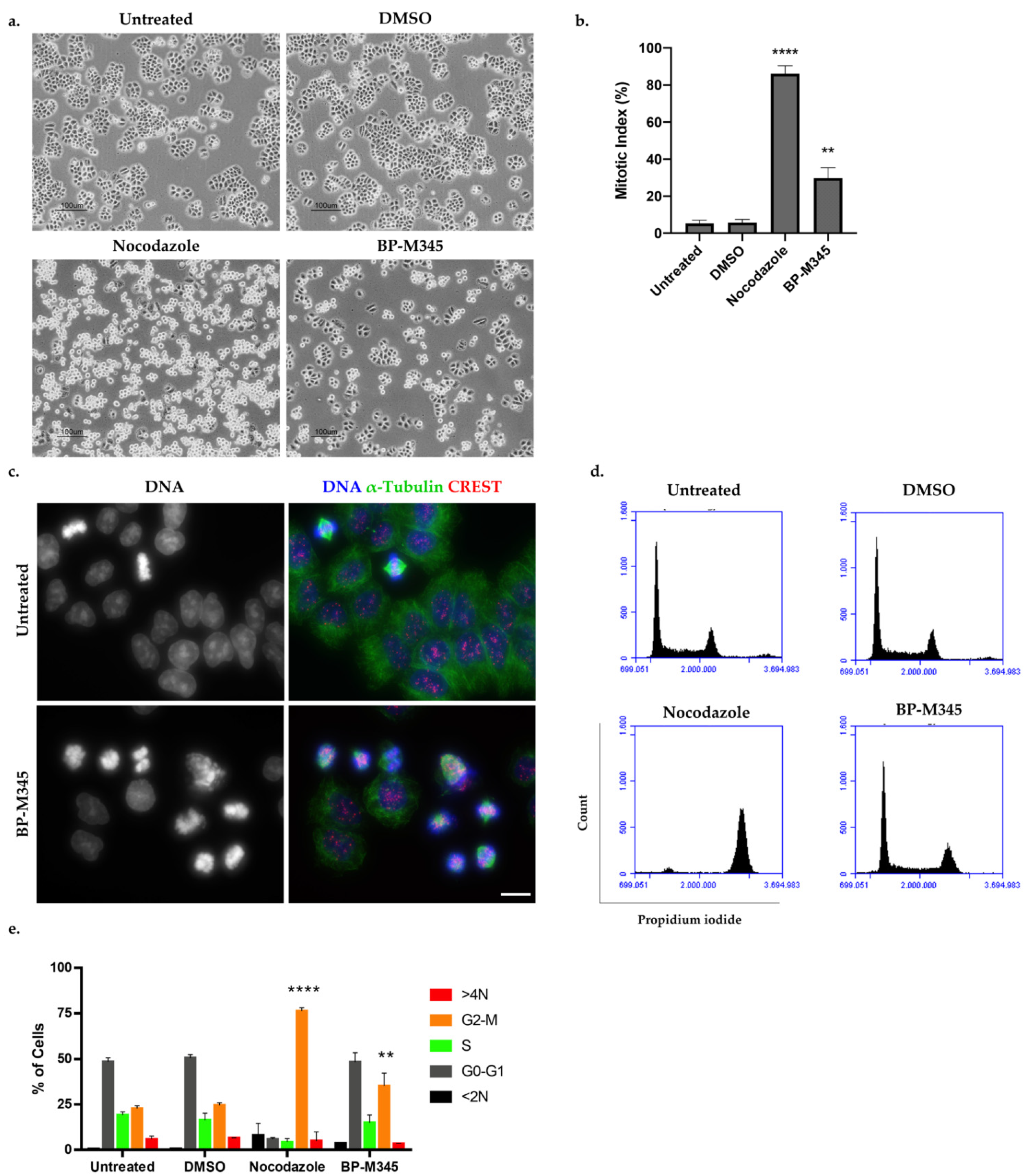 Molecules 26 07139 g002 Molecules 26 07139 g002